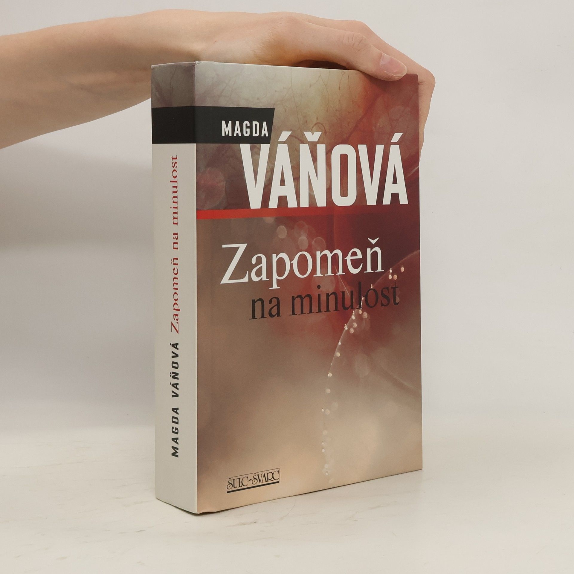Magda Váňová Zapomeň na minulost