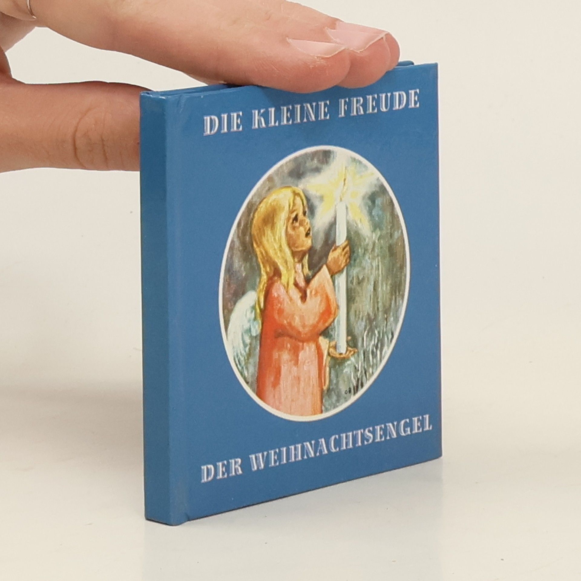 Thomas Birk Die kleine Freude der Weihnachtsengel