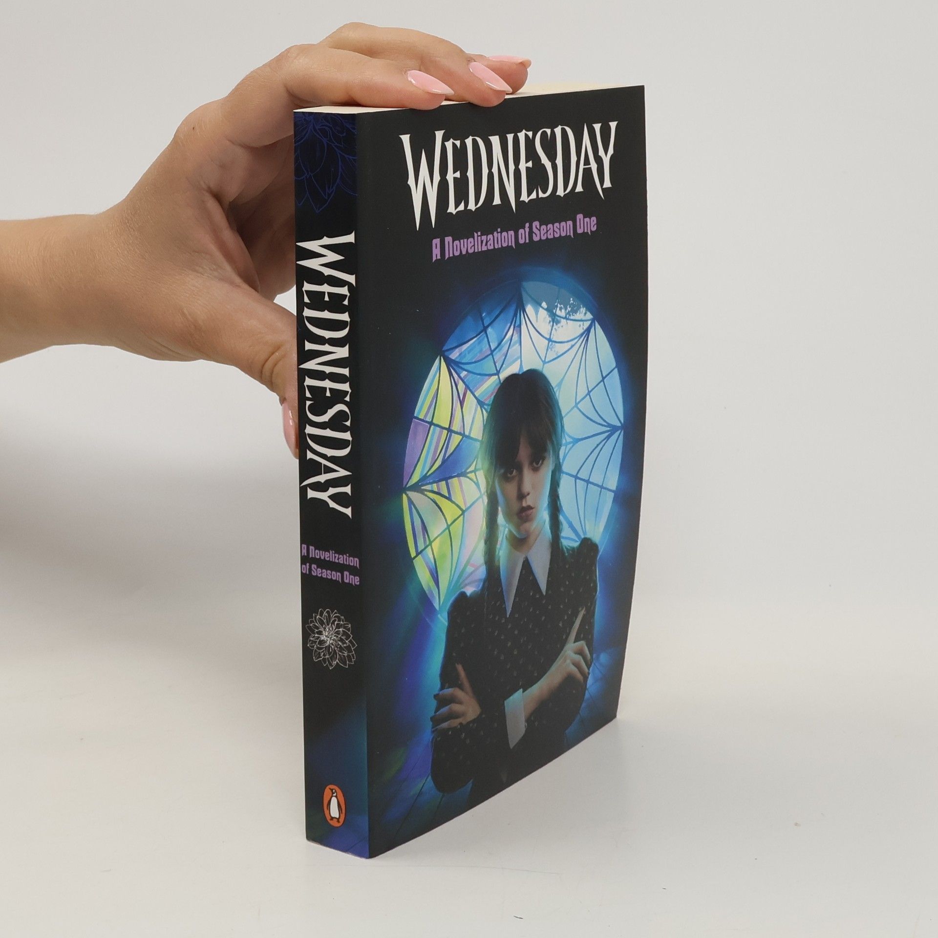 Autorenkollektiv Wednesday: A Novelisation of Season One