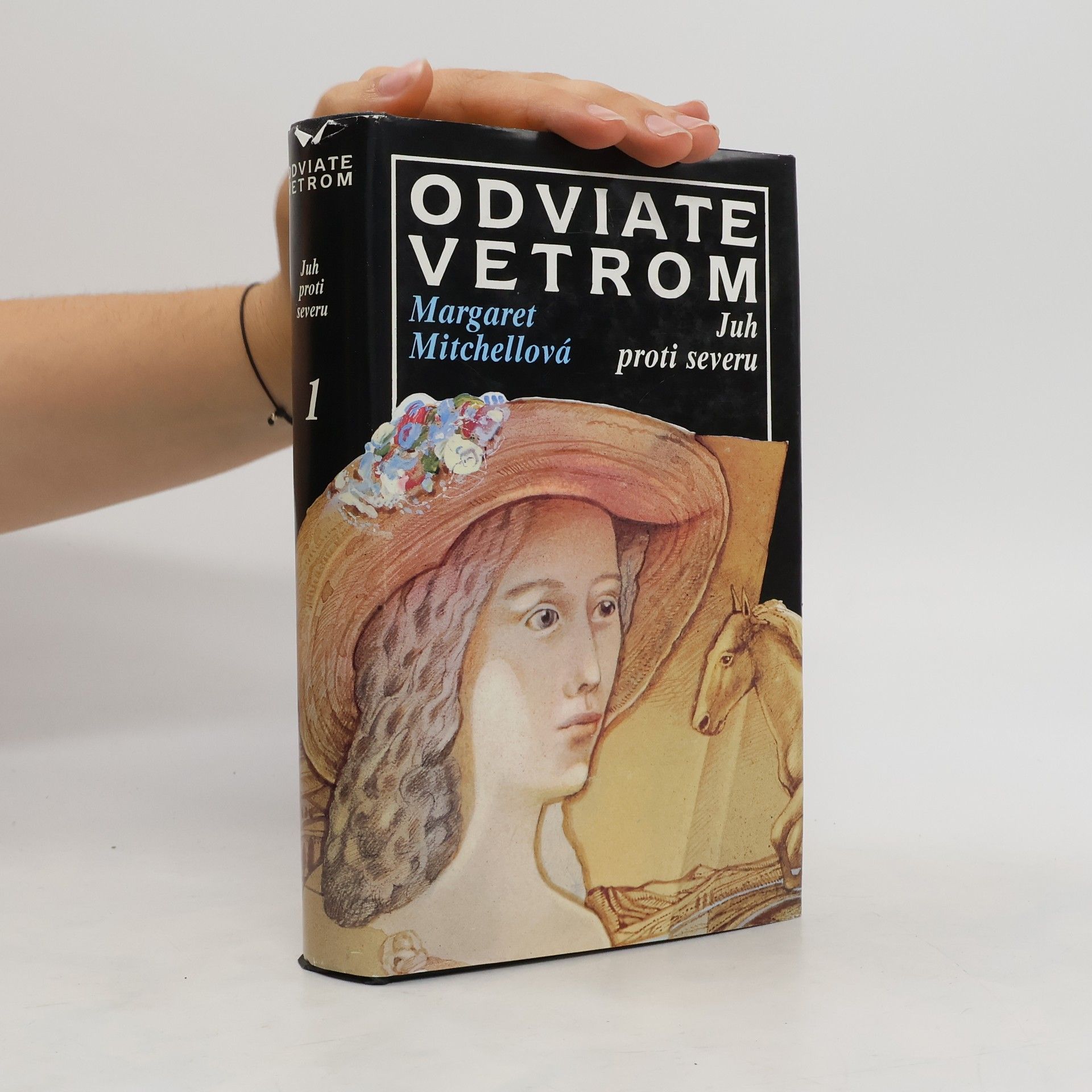 Margaret Mitchell Odviate vetrom 2. Juh proti severu