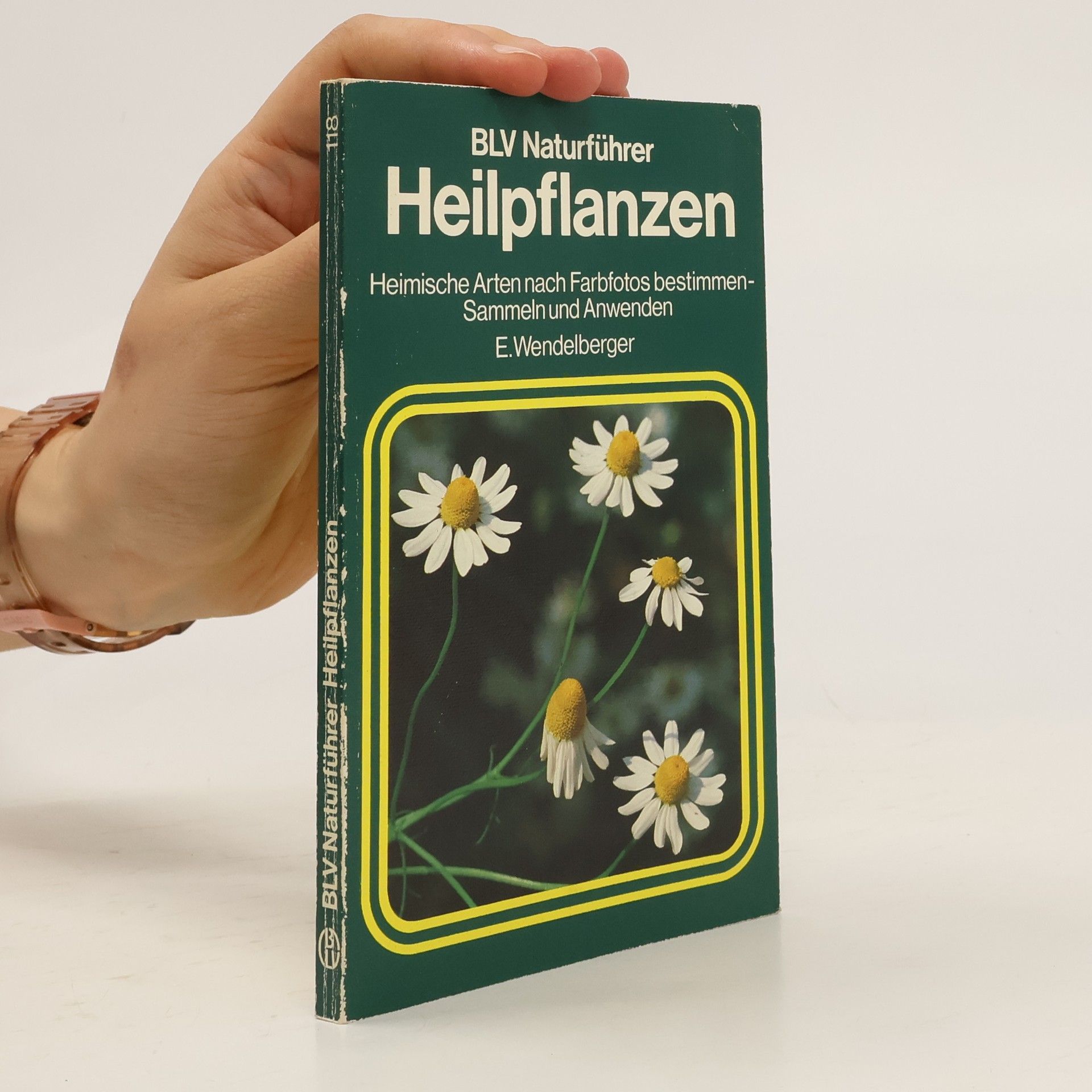 Elfrune Wendelberger Heilpflanzen