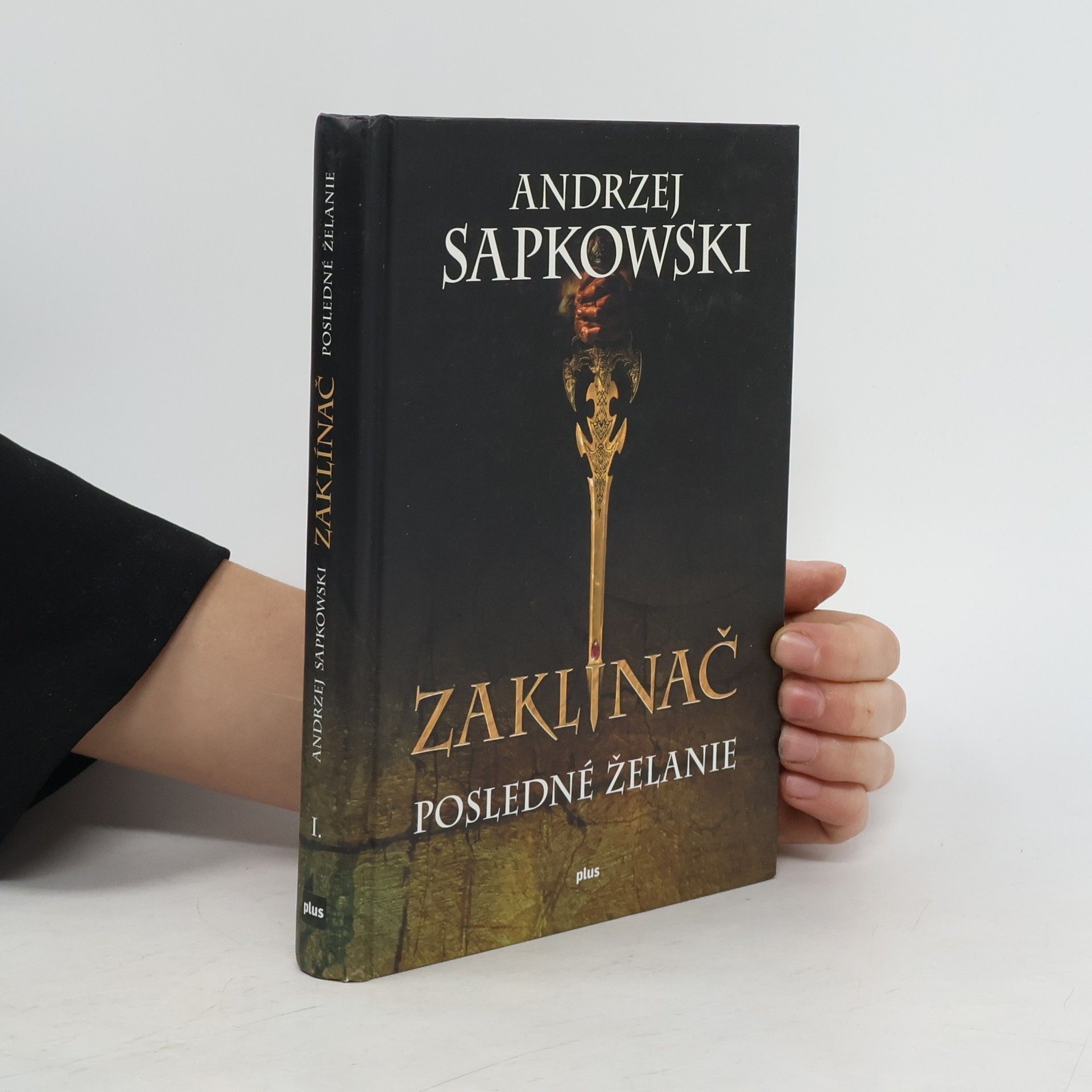Andrzej Sapkowski Zaklínač. Posledné želanie
