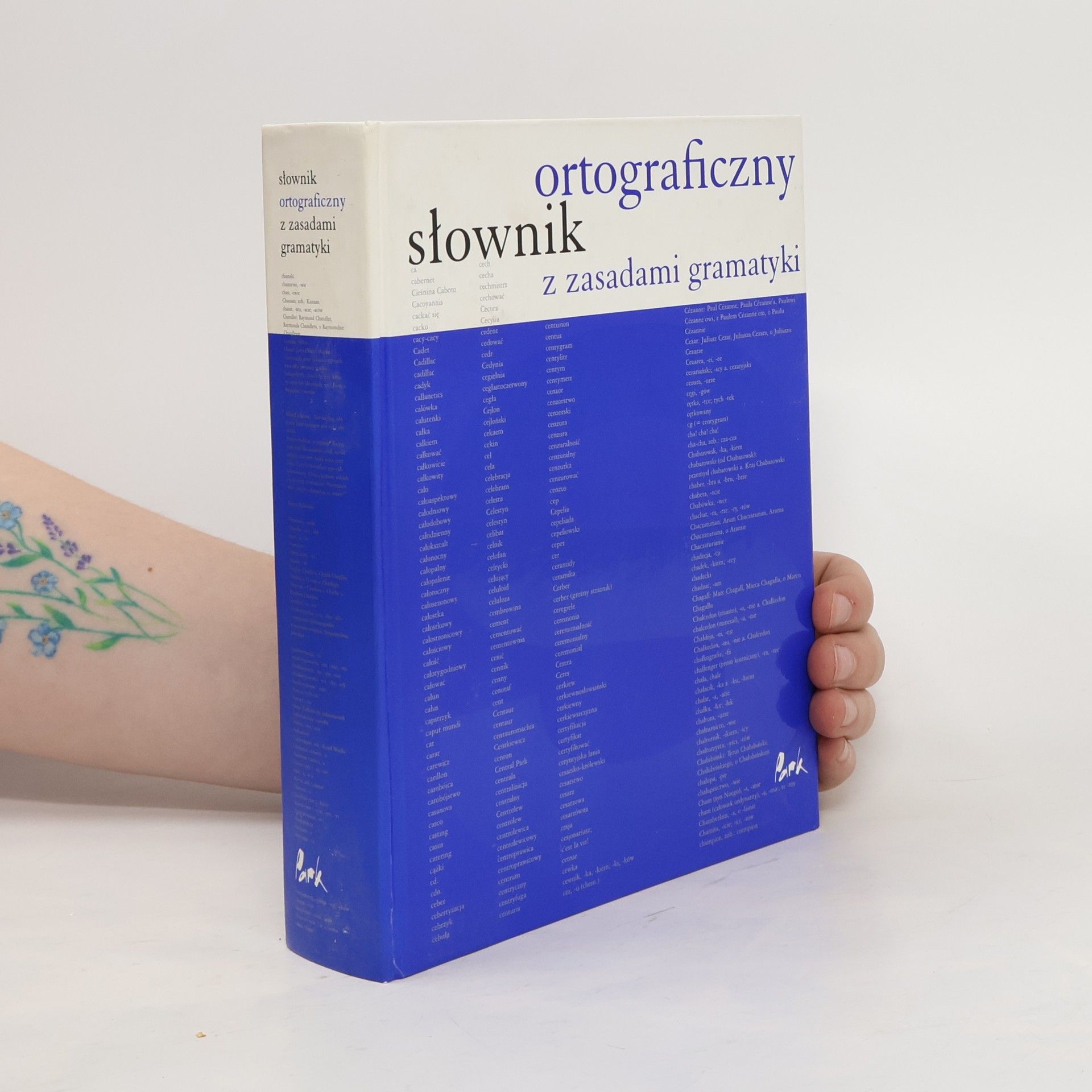 Beata Gajewska Słownik ortograficzny
