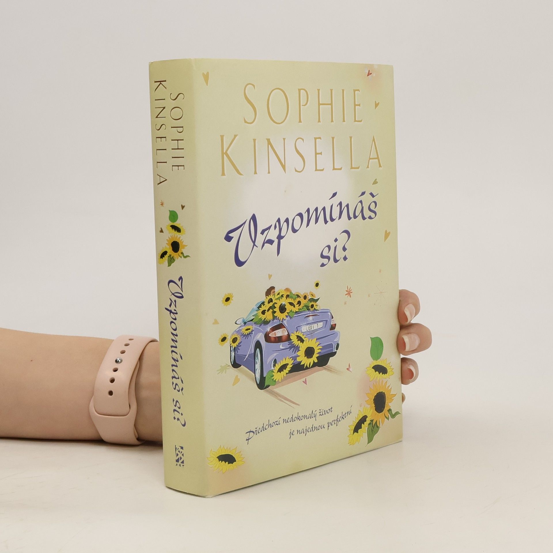Madeleine Wickham Vzpomínáš si?