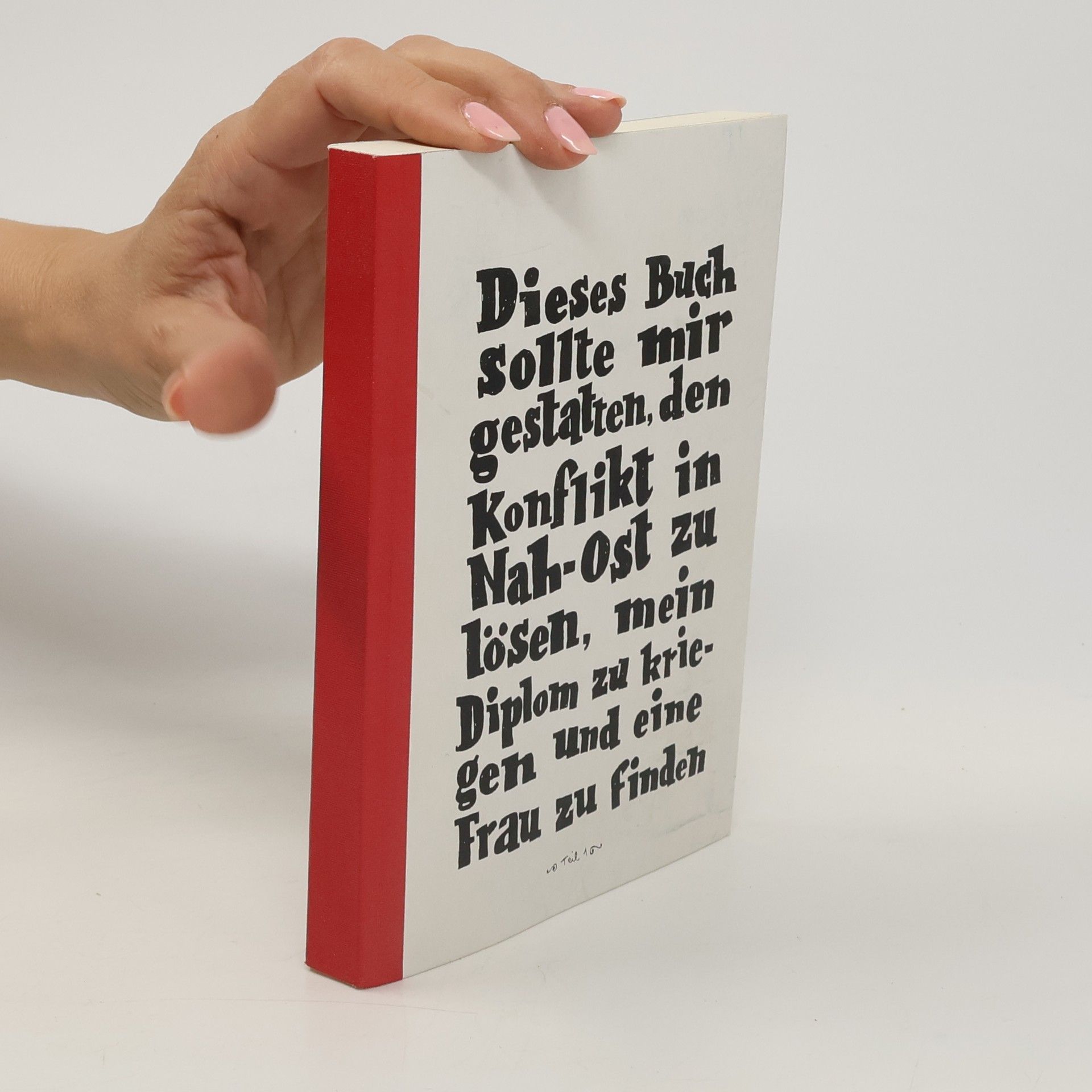 Sylvain Mazas Dieses Buch sollte mir gestatten, den Konflikt in Nah-Ost zu lösen, mein Diplom zu kriegen und eine Frau zu finden
