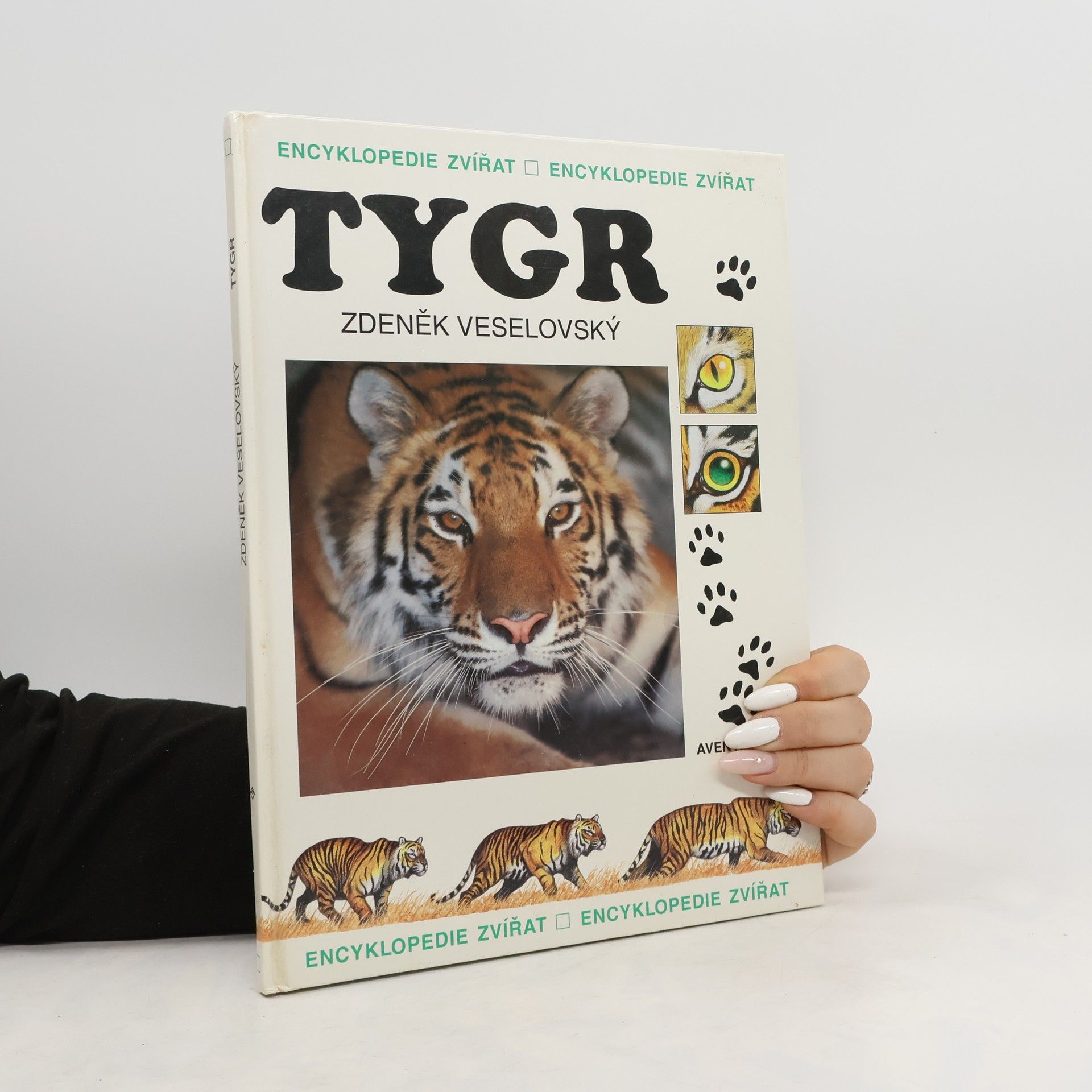 Zdeněk Veselovský Tygr