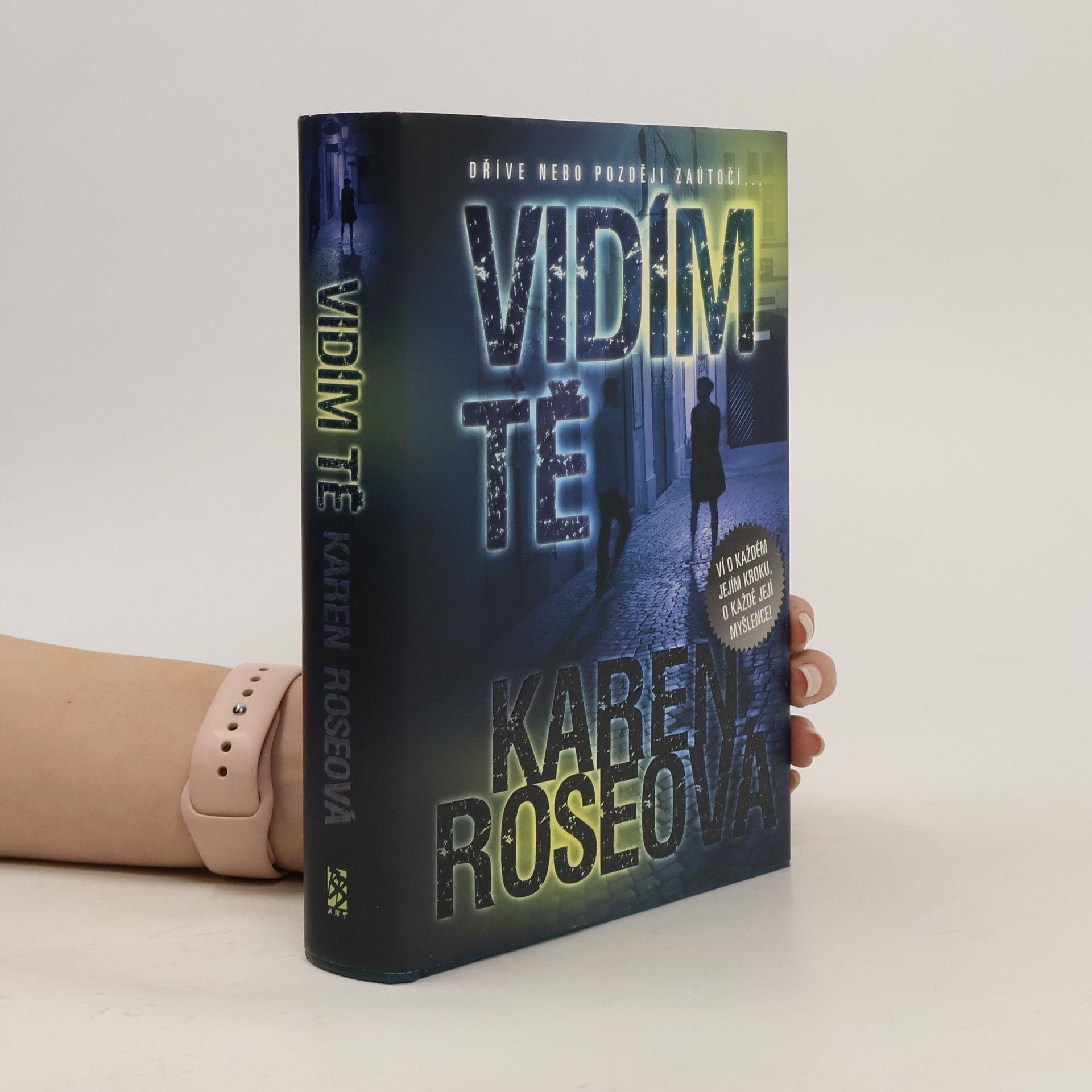 Karen Rose Vidím tě