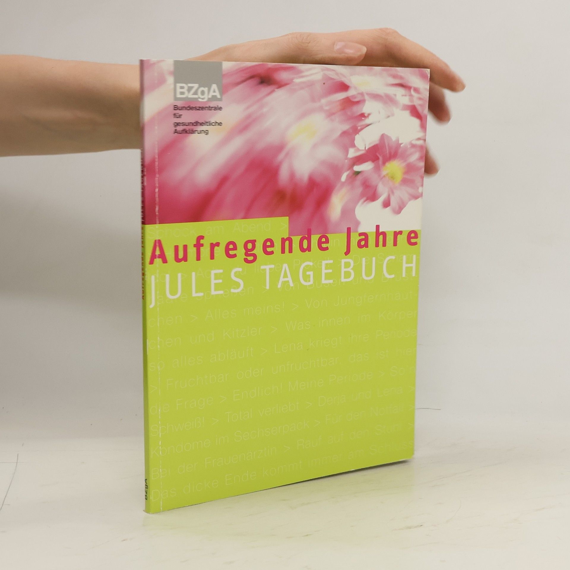 Collectif d'auteurs Aufregende Jahre. Jules Tagebuch