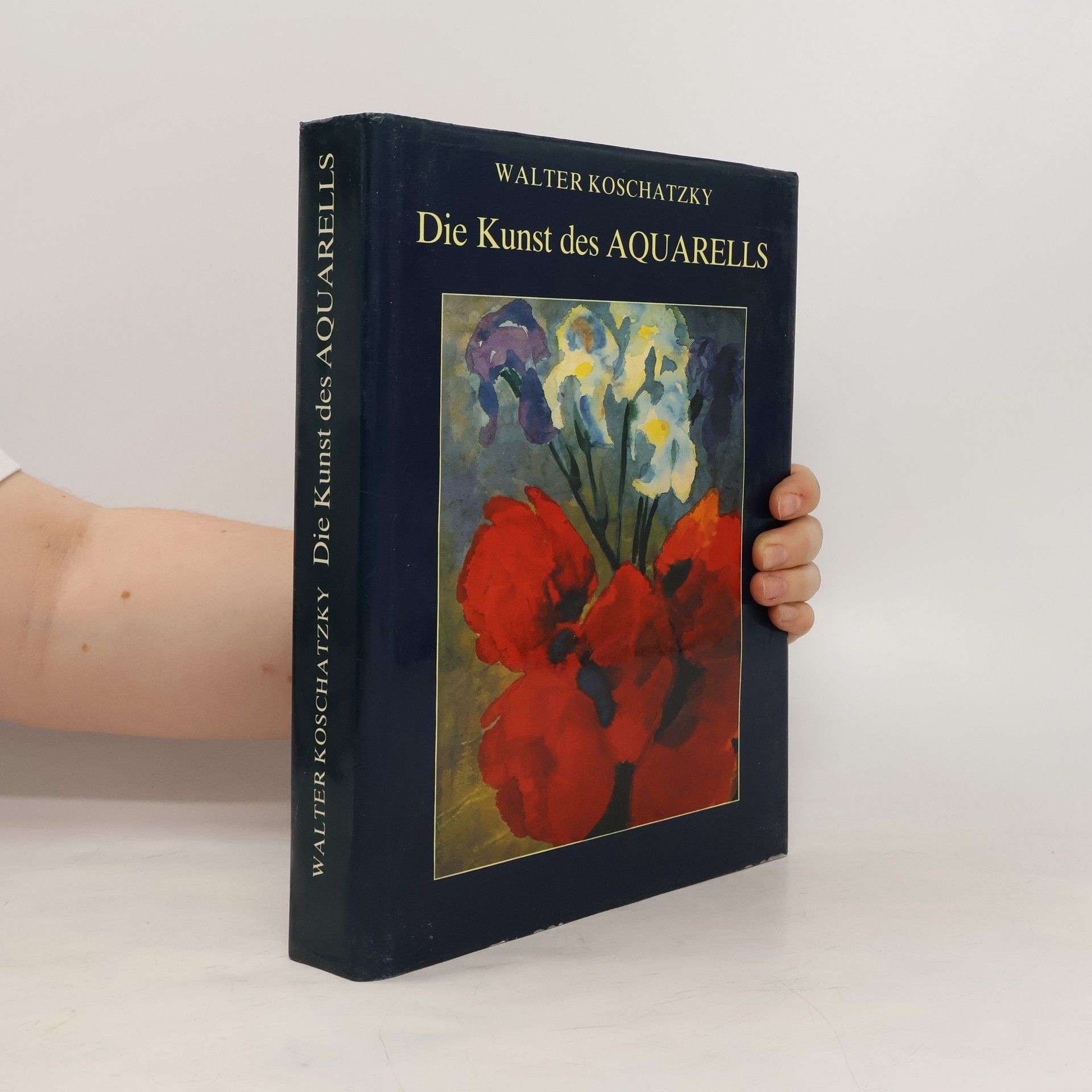 Walter Koschatzky Die Kunst des Aquarells