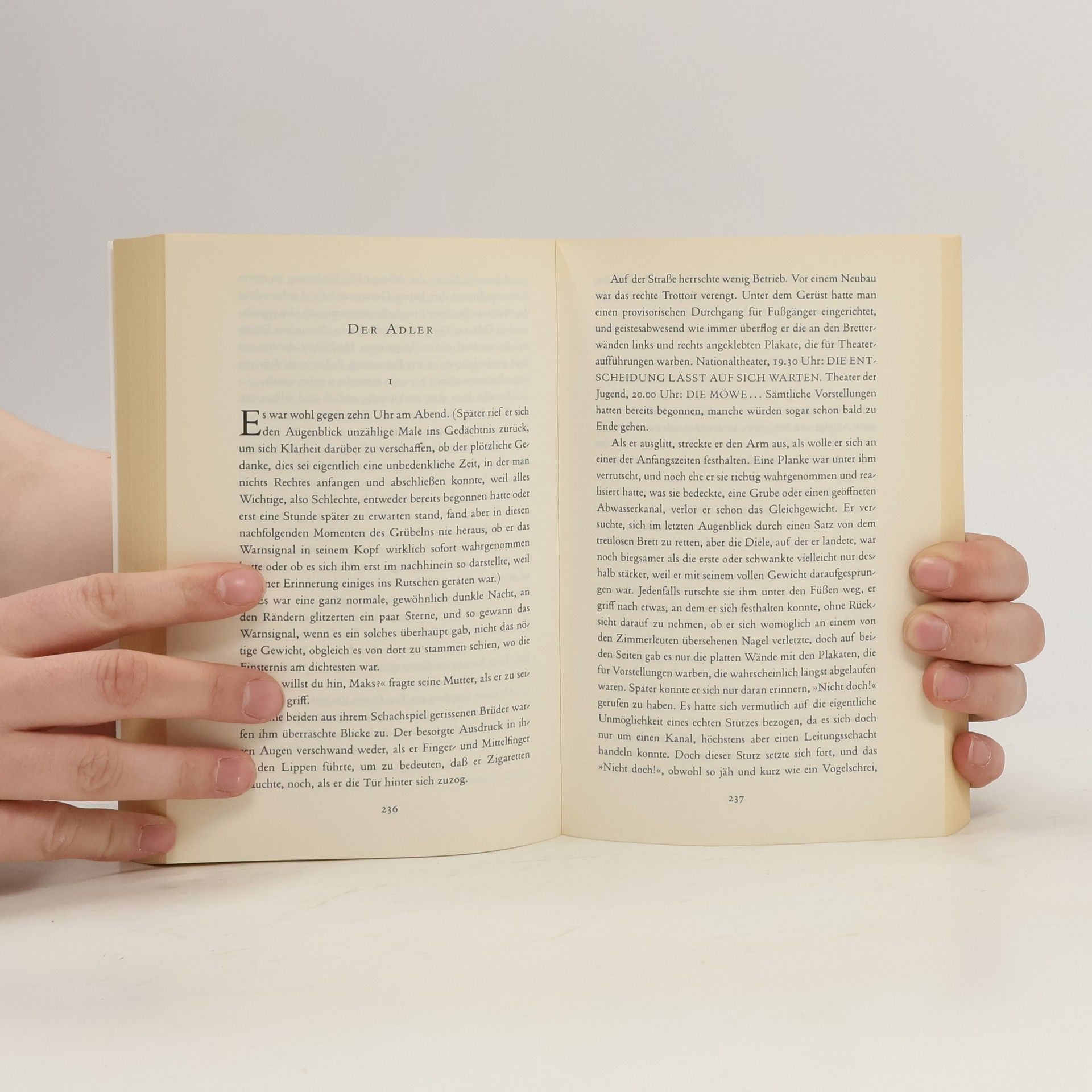 Ismail Kadare Der Raub des königlichen Schlafs