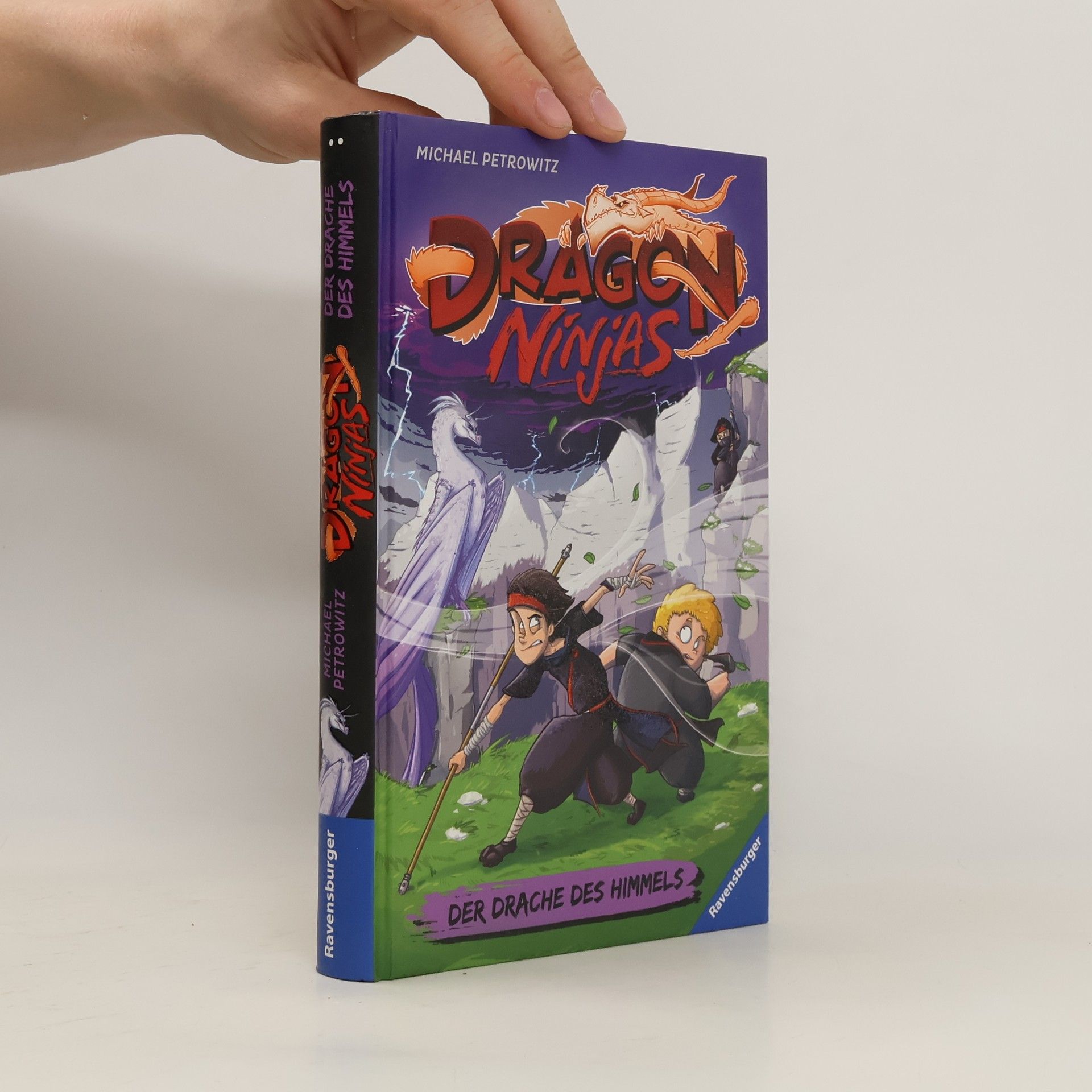 Michael Petrowitz Dragon Ninjas, Band 3: Der Drache des Himmels