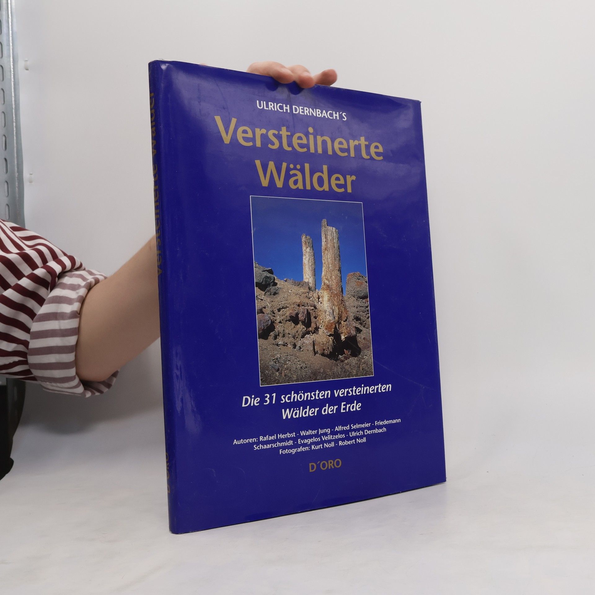 Rafael Herbst Ulrich Dernbach's versteinerte Wälder
