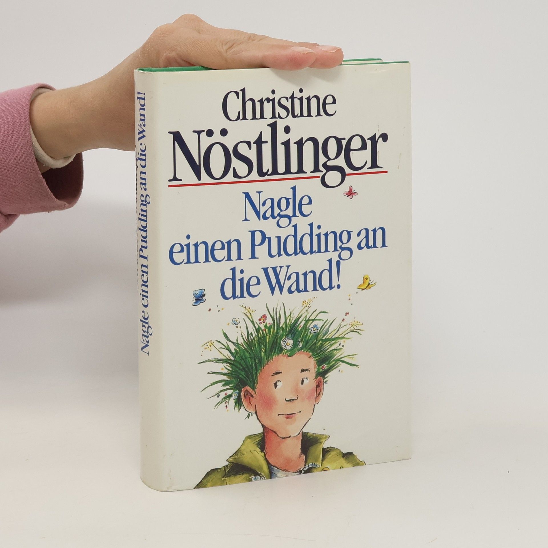 Christine Nöstlinger Nagle einen Pudding an die Wand!