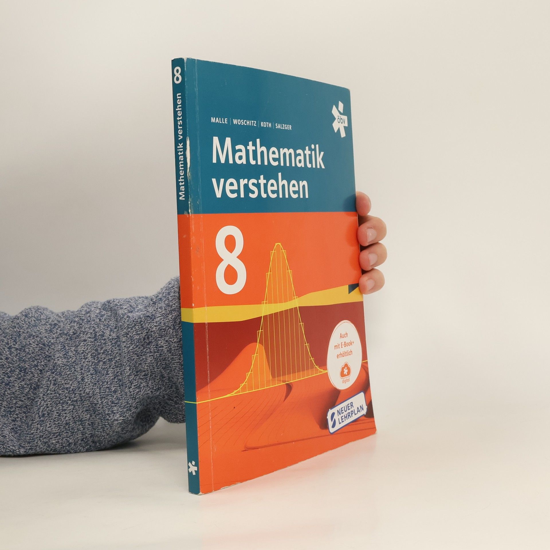 Günther Malle Mathematik verstehen 8