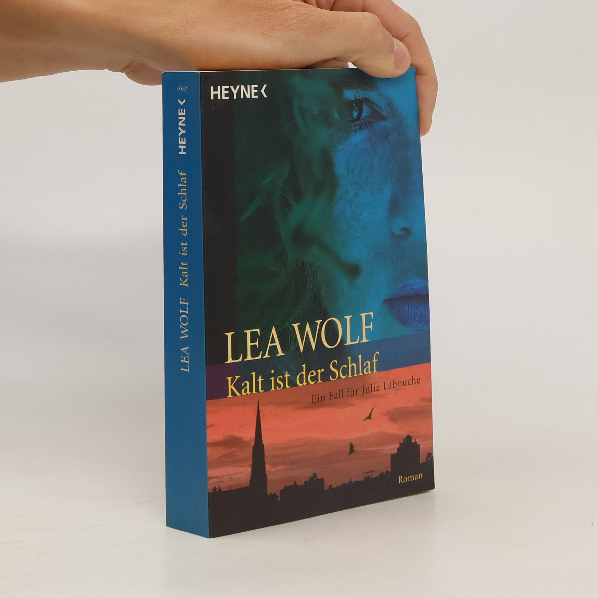 Lea Wolf Kalt ist der Schlaf. Ein Fall für Julia Labouche. Roman