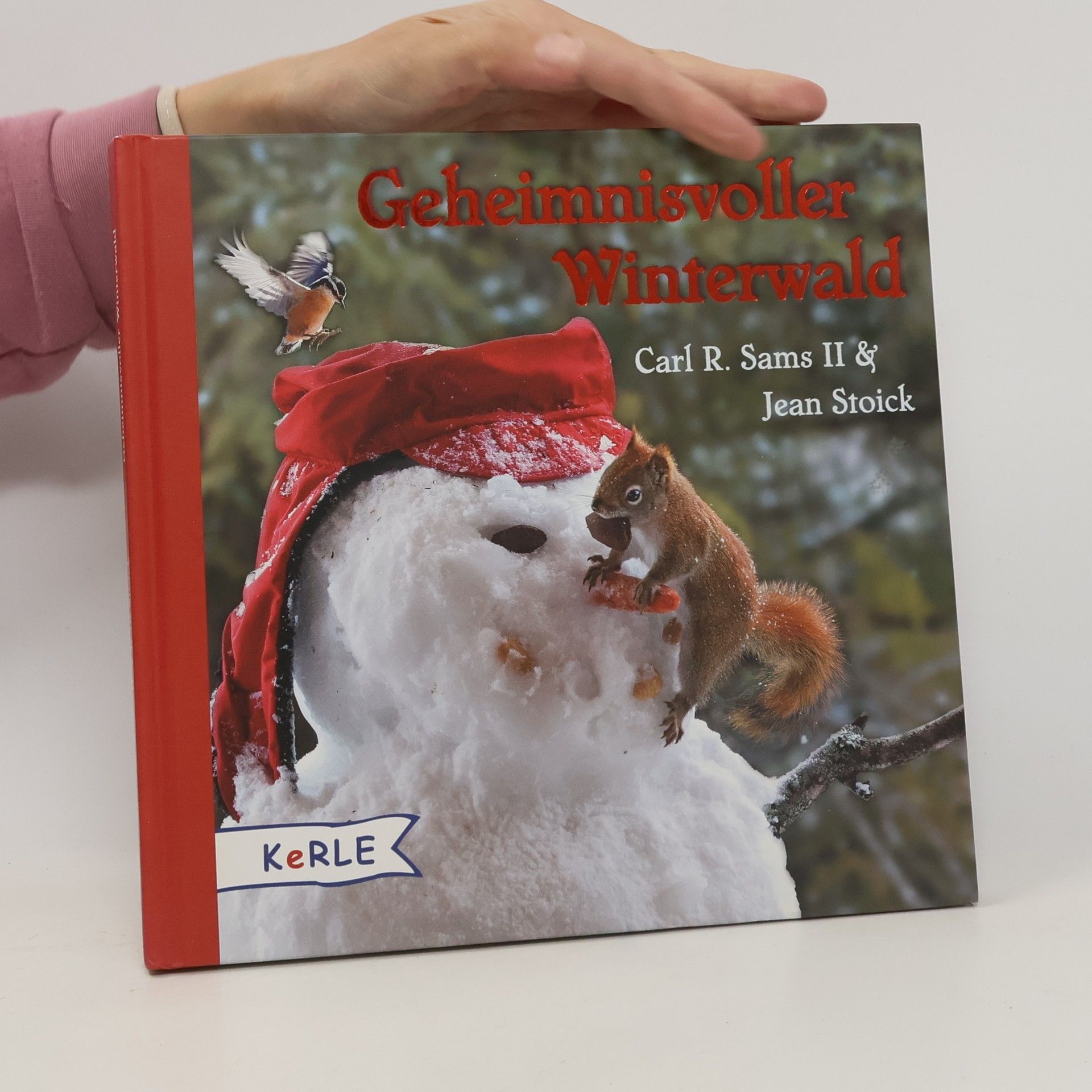 Carl R. Sams Geheimnisvoller Winterwald
