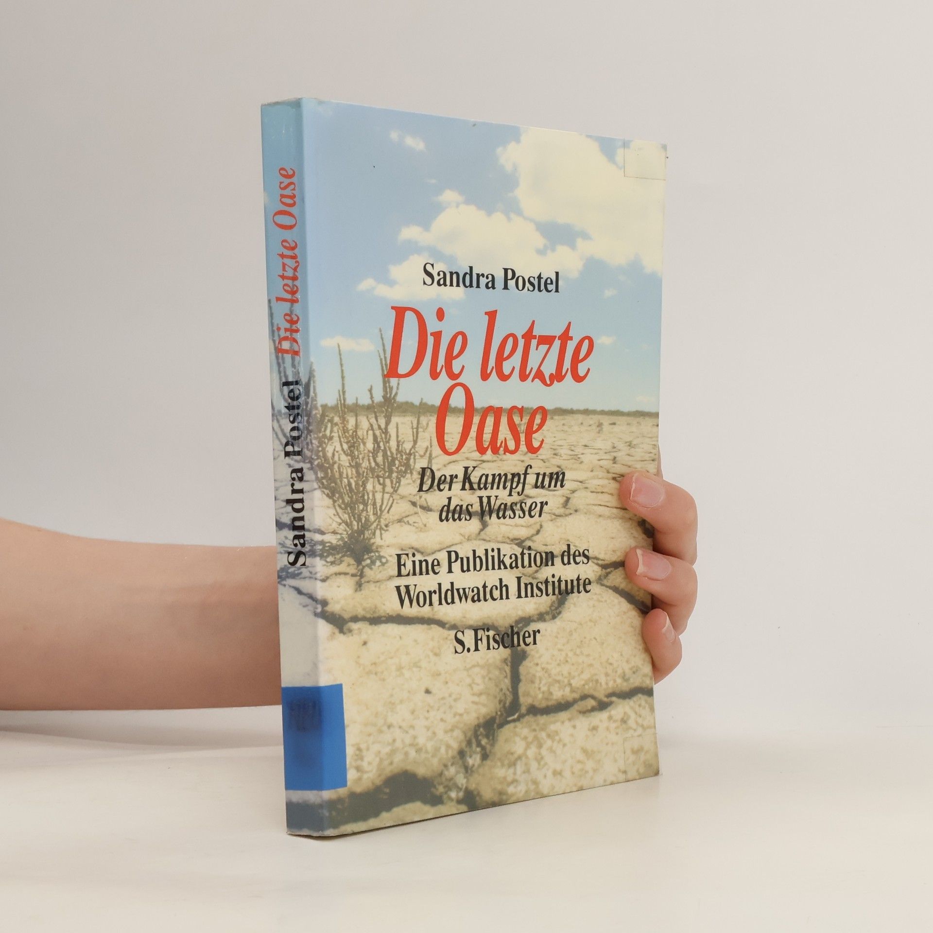 Sandra Postel Die letzte Oase
