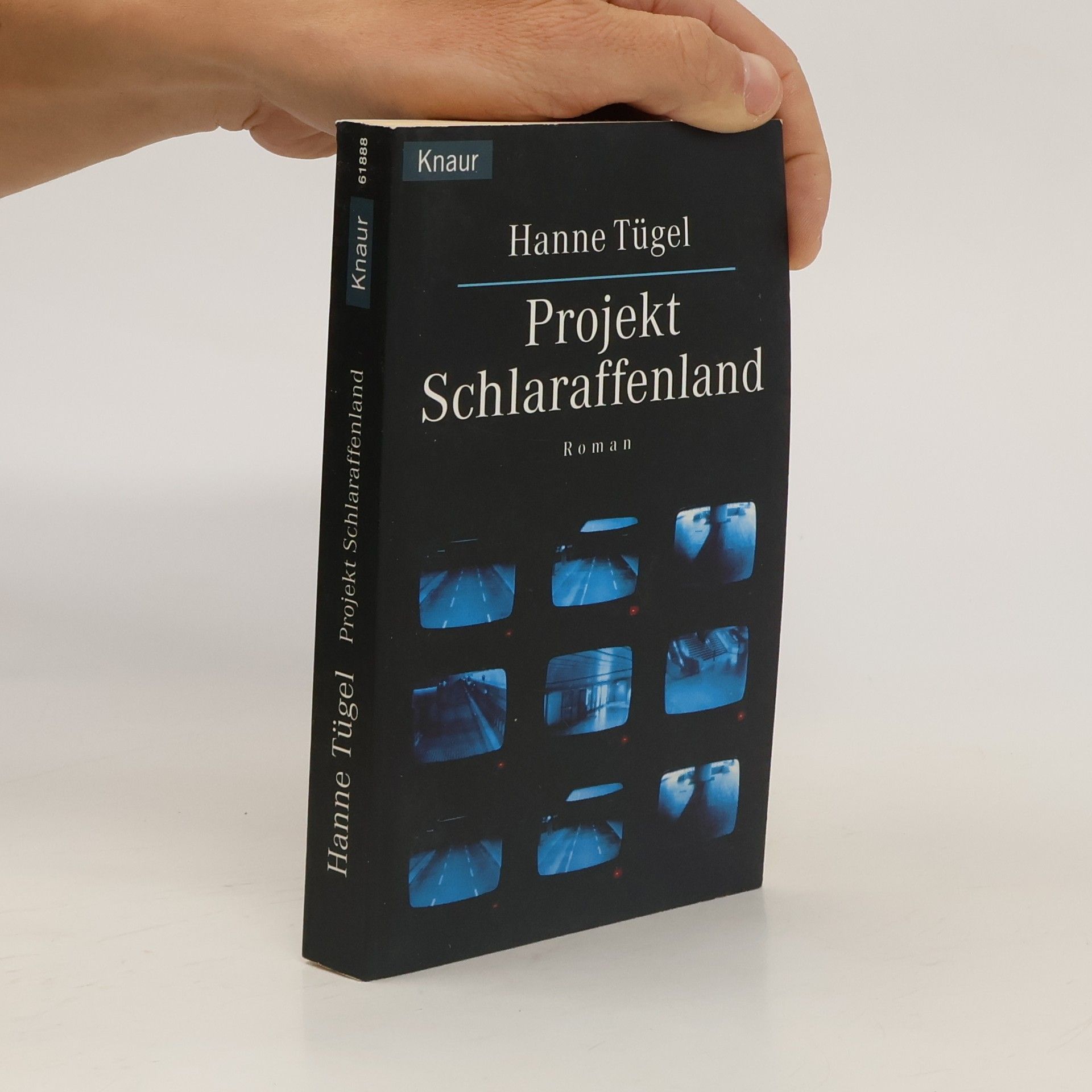 Hanne Tügel Projekt Schlaraffenland