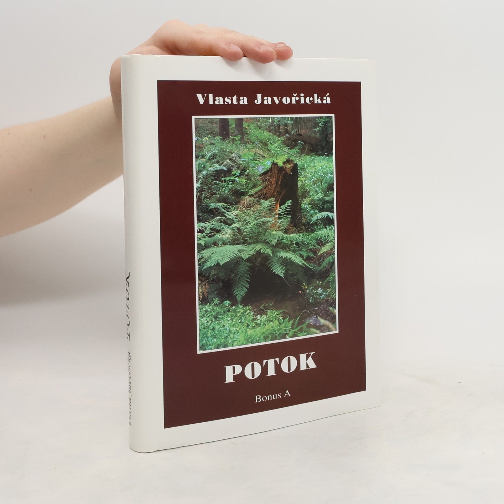 Vlasta Javořická Potok