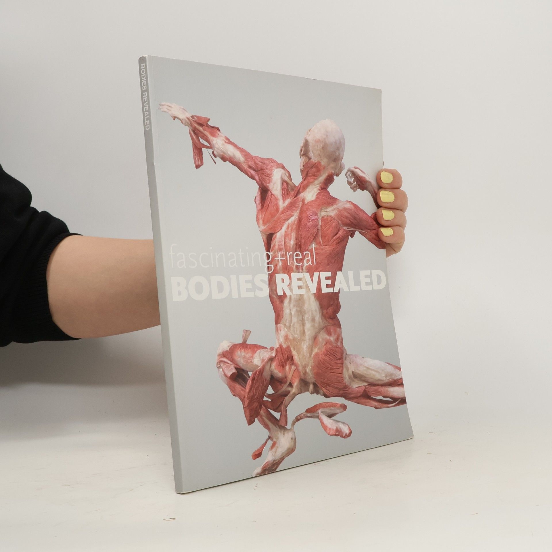 Kolektiv autorů Bodies, the exhibition