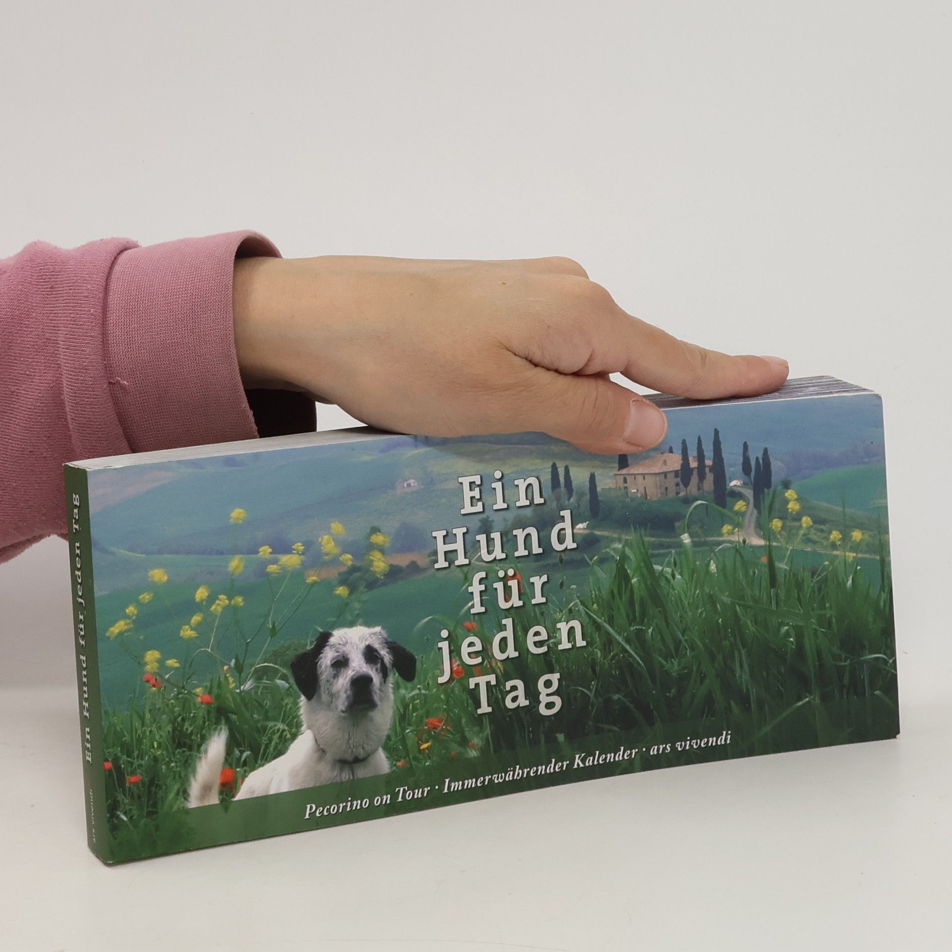 Toni Anzenberger Ein Hund für jeden Tag