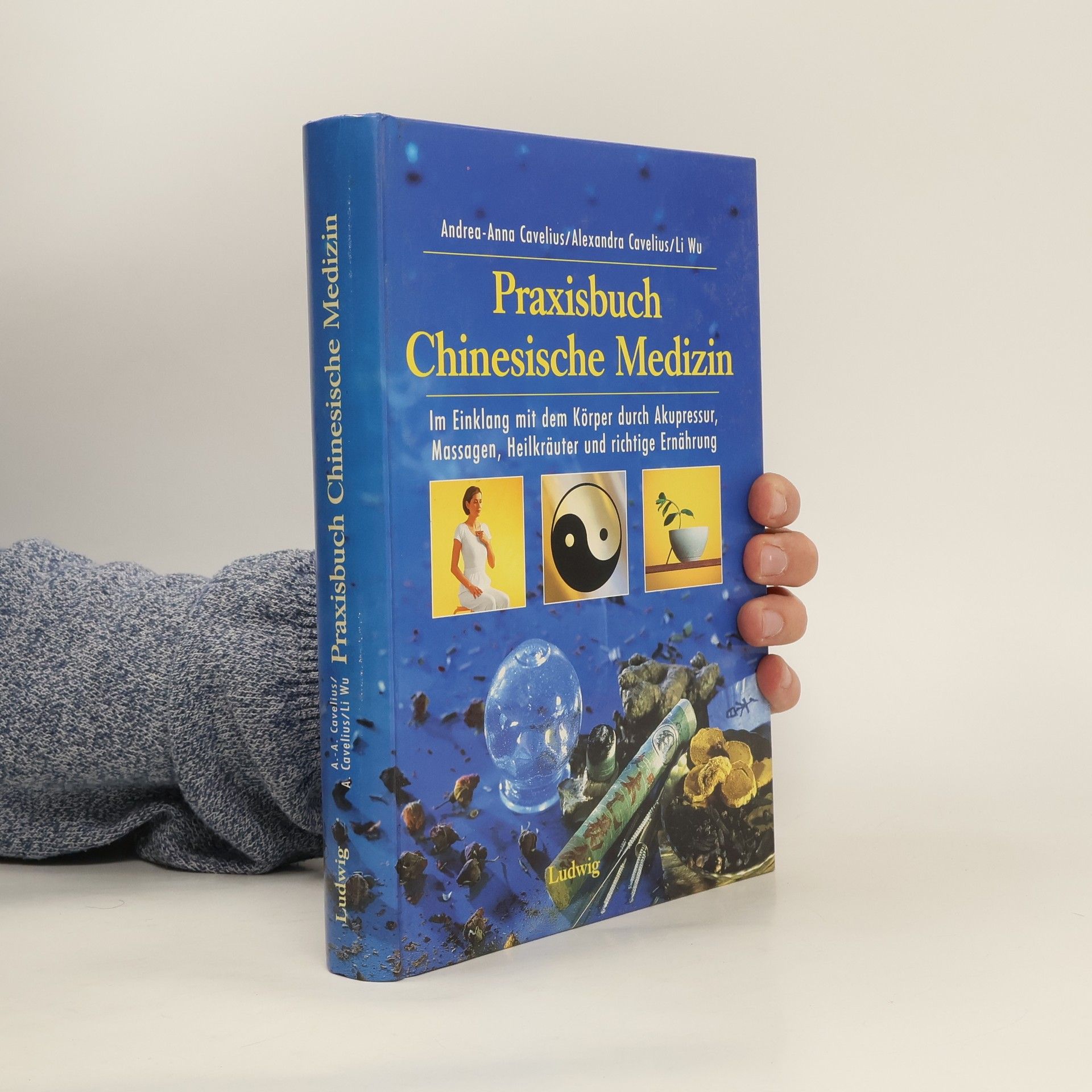Andrea-Anna Cavelius Praxisbuch chinesische Medizin