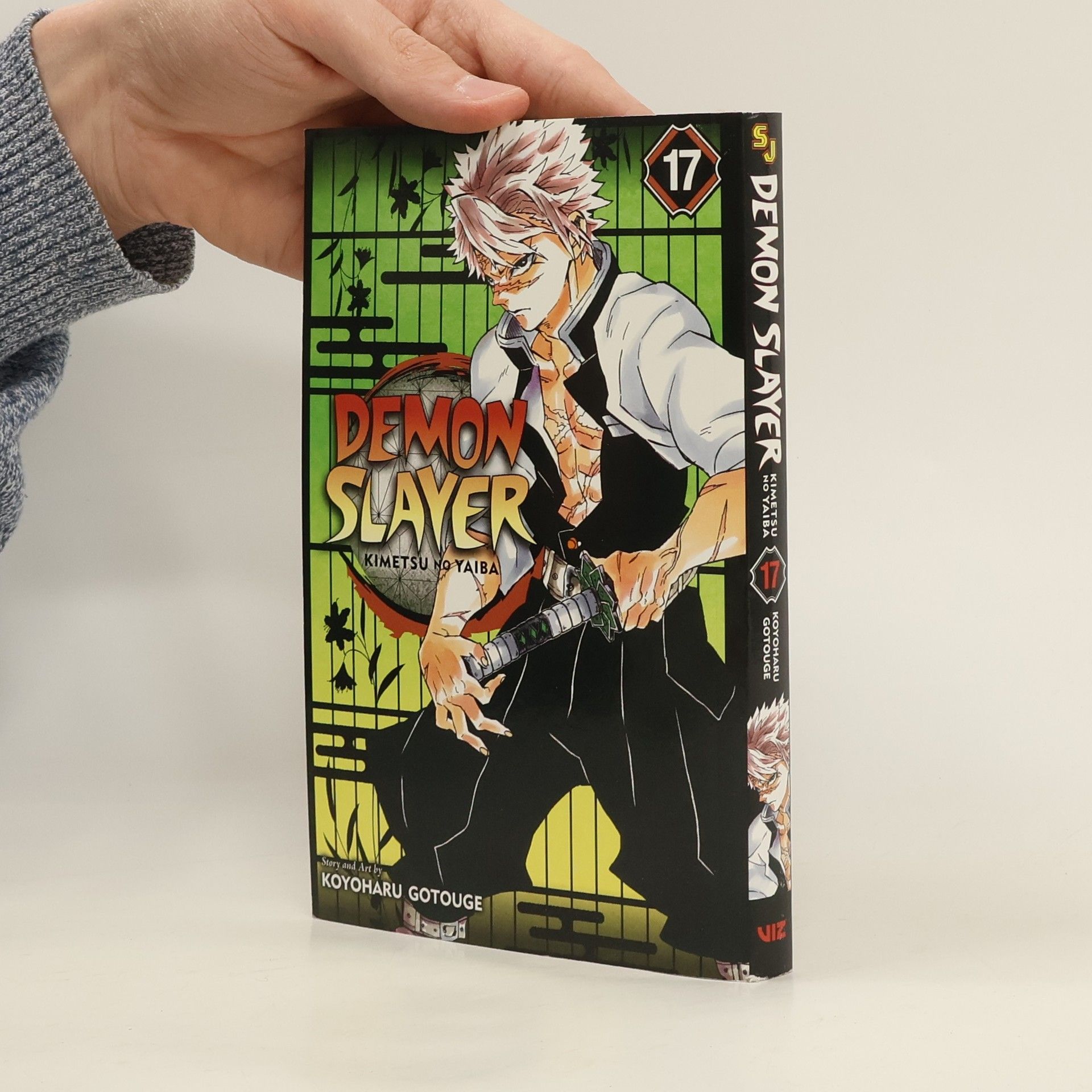 Koyoharu Gotoge Demon Slayer 17