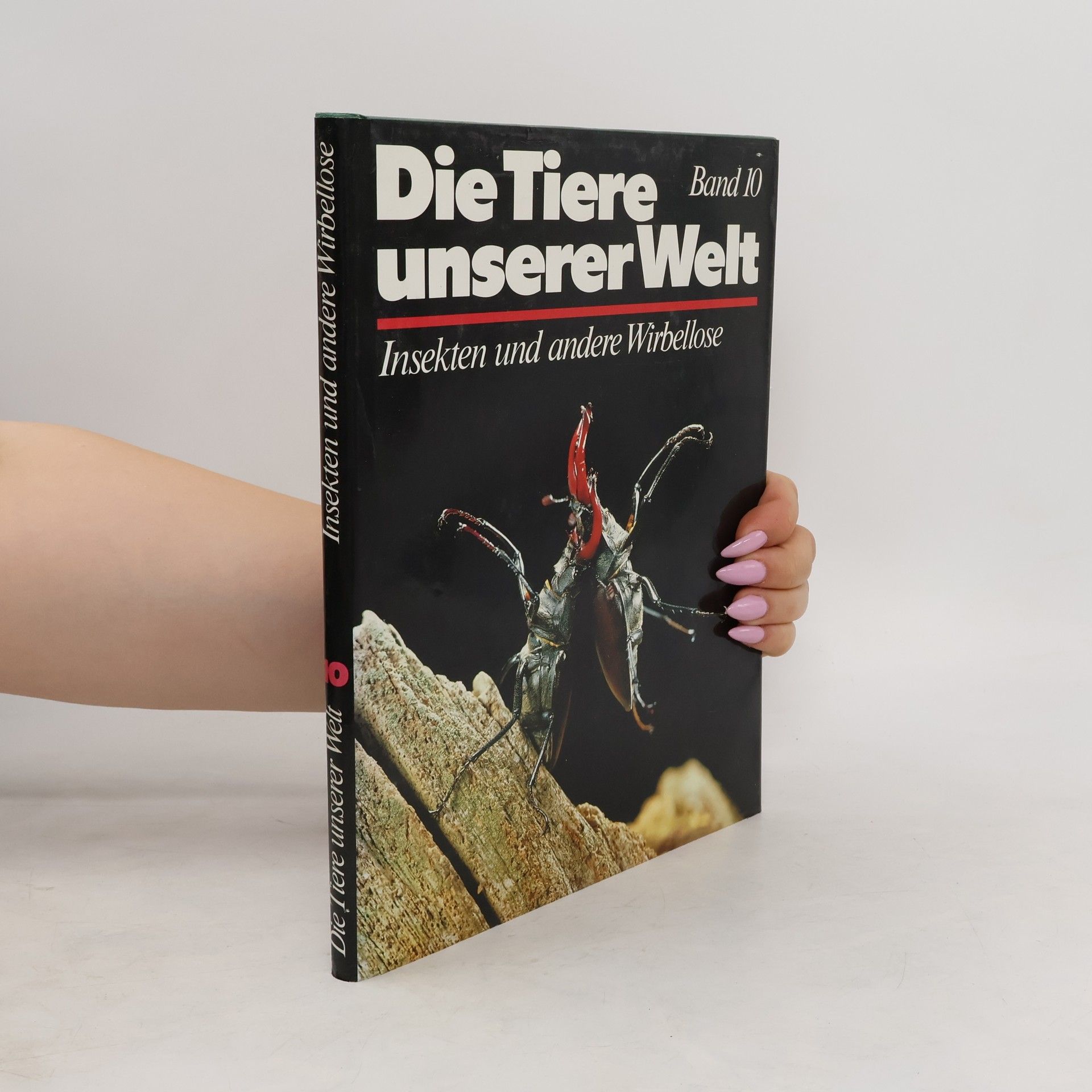 Collectif d'auteurs Die Tiere unserer Welt Band 10. Insekten und andere Wirbellose