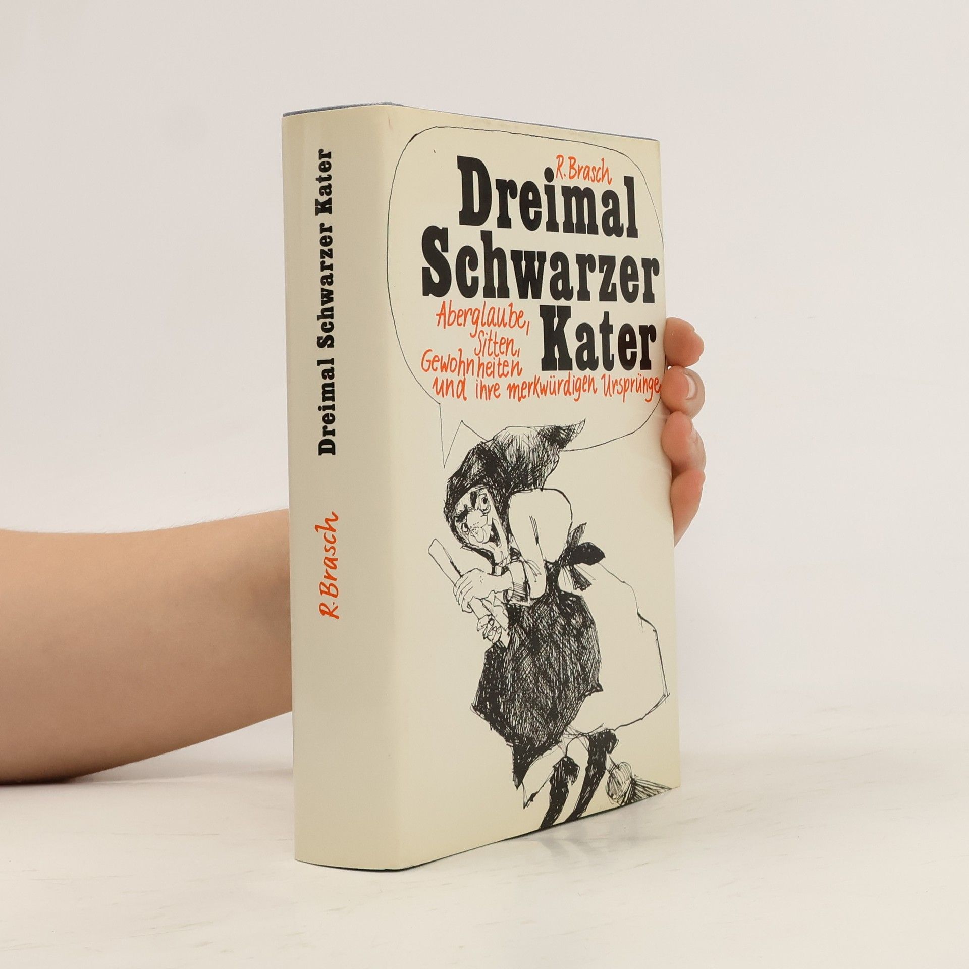 Brasch R. Dreimal Schwarzer Kater
