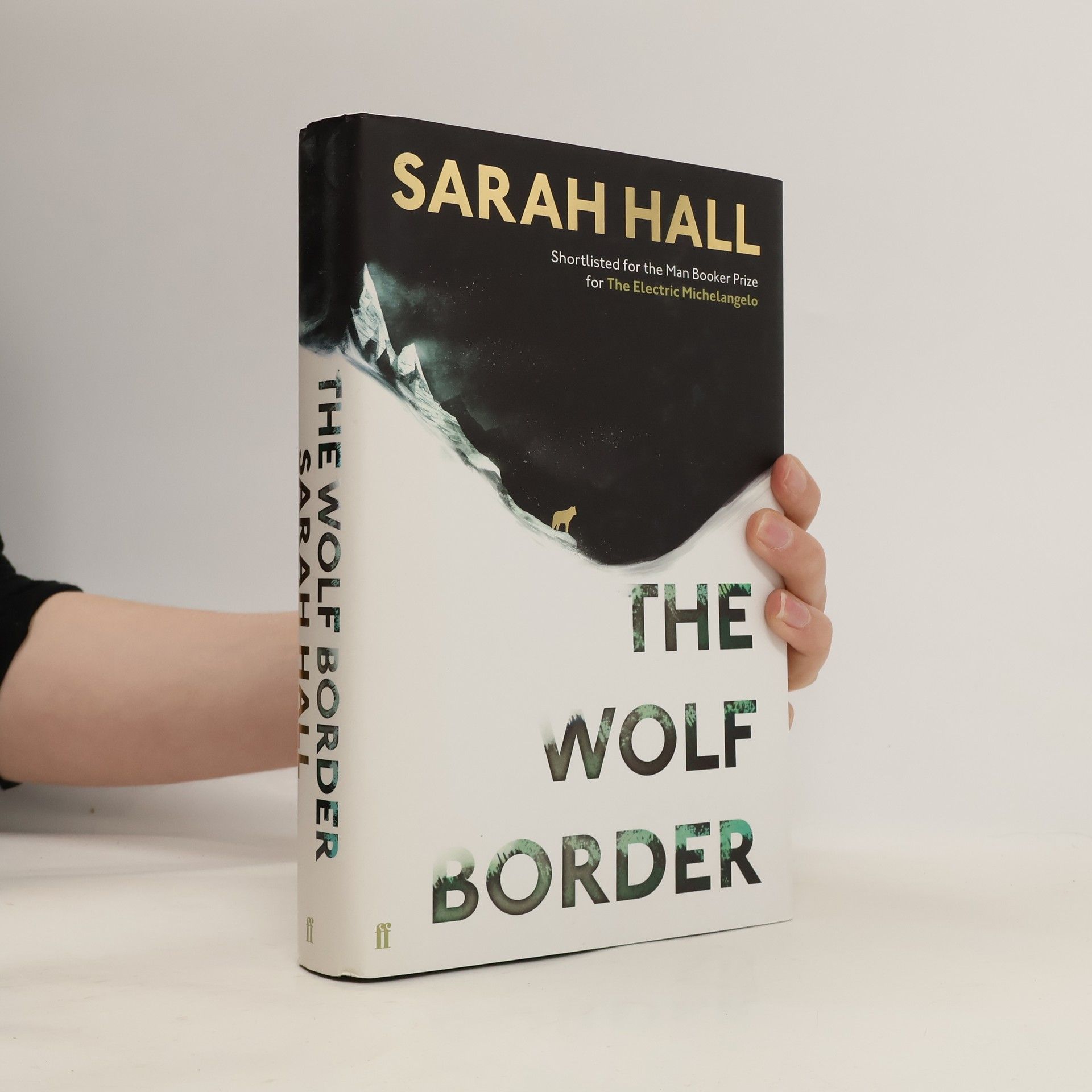 Sarah Hall The Wolf Border