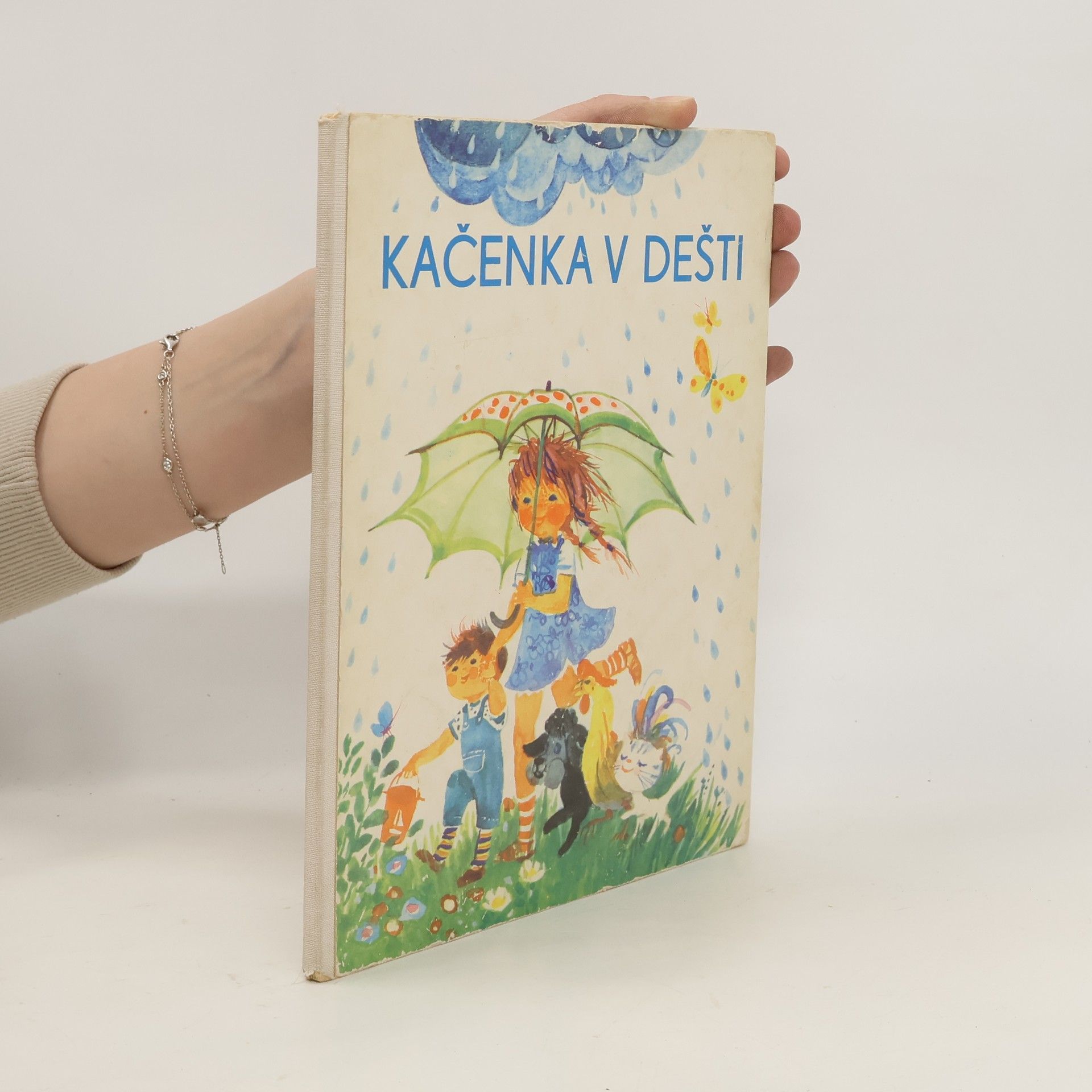 Kolektiv autorů Kačenka v dešti