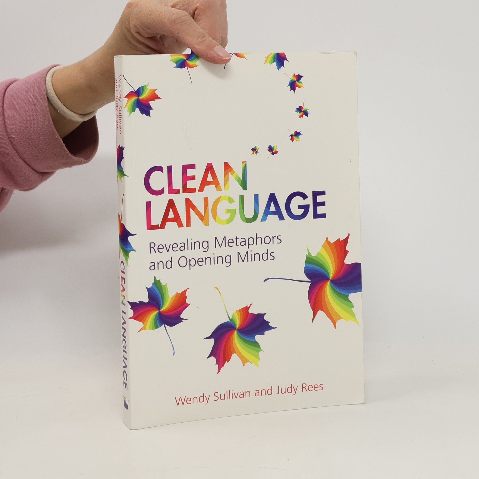 Wendy Sullivan Clean Language