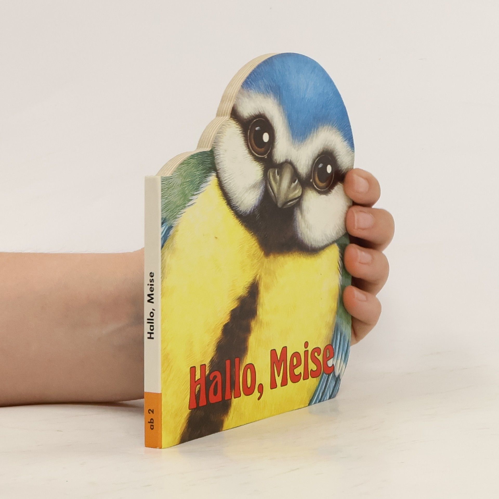 Autorenkollektiv Hallo, Meise