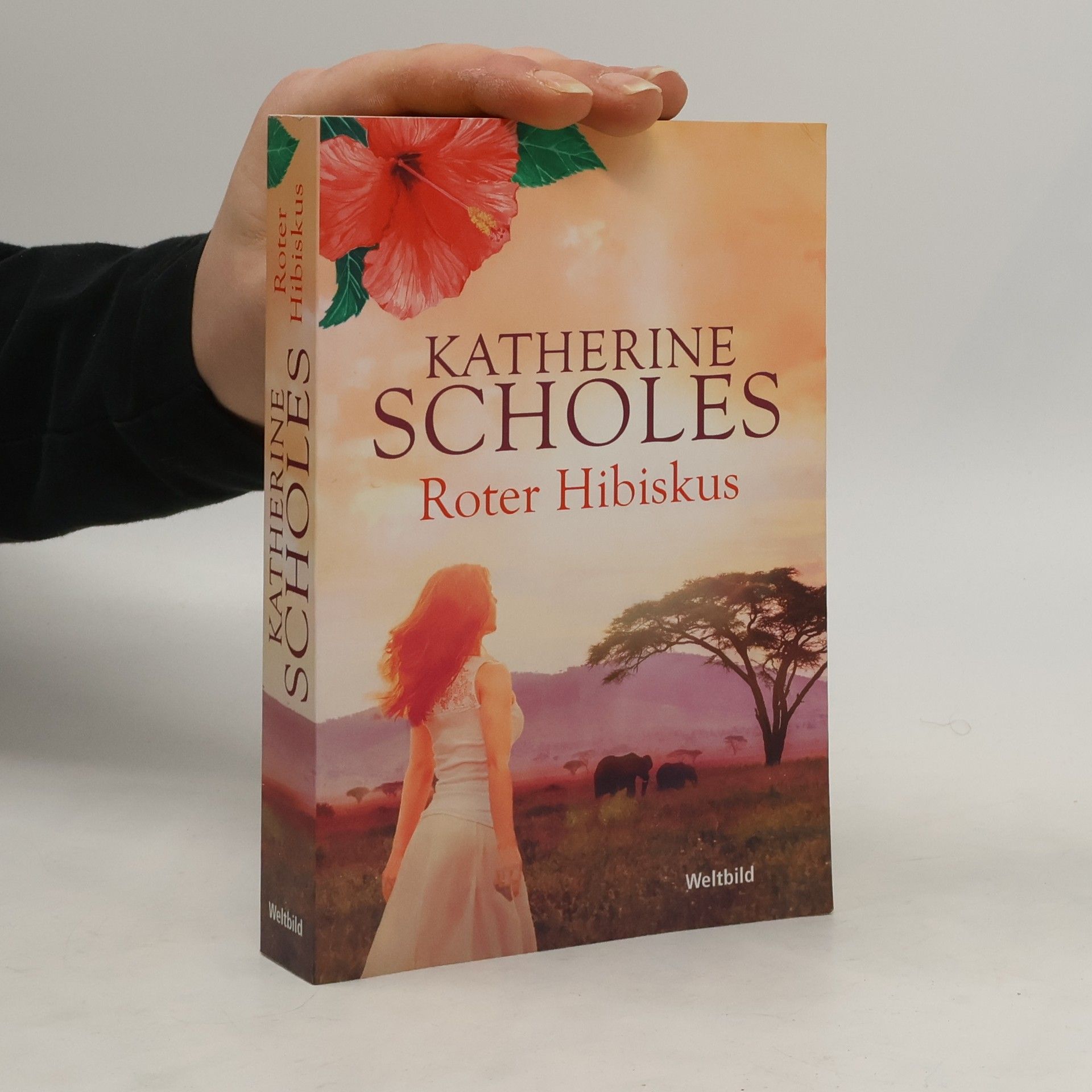 Katherine Scholes Roter Hibiskus