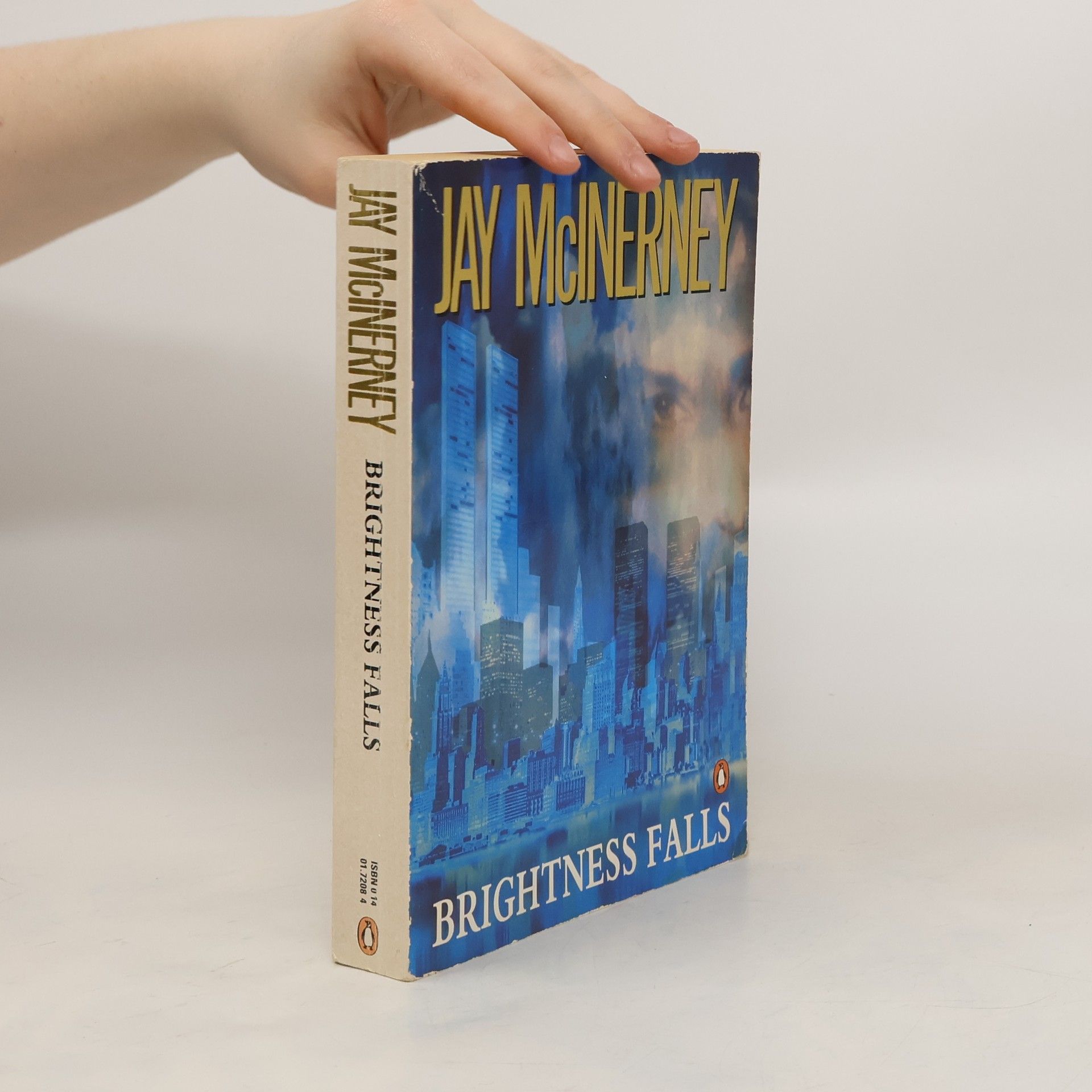 Jay McInerney Brightness Falls