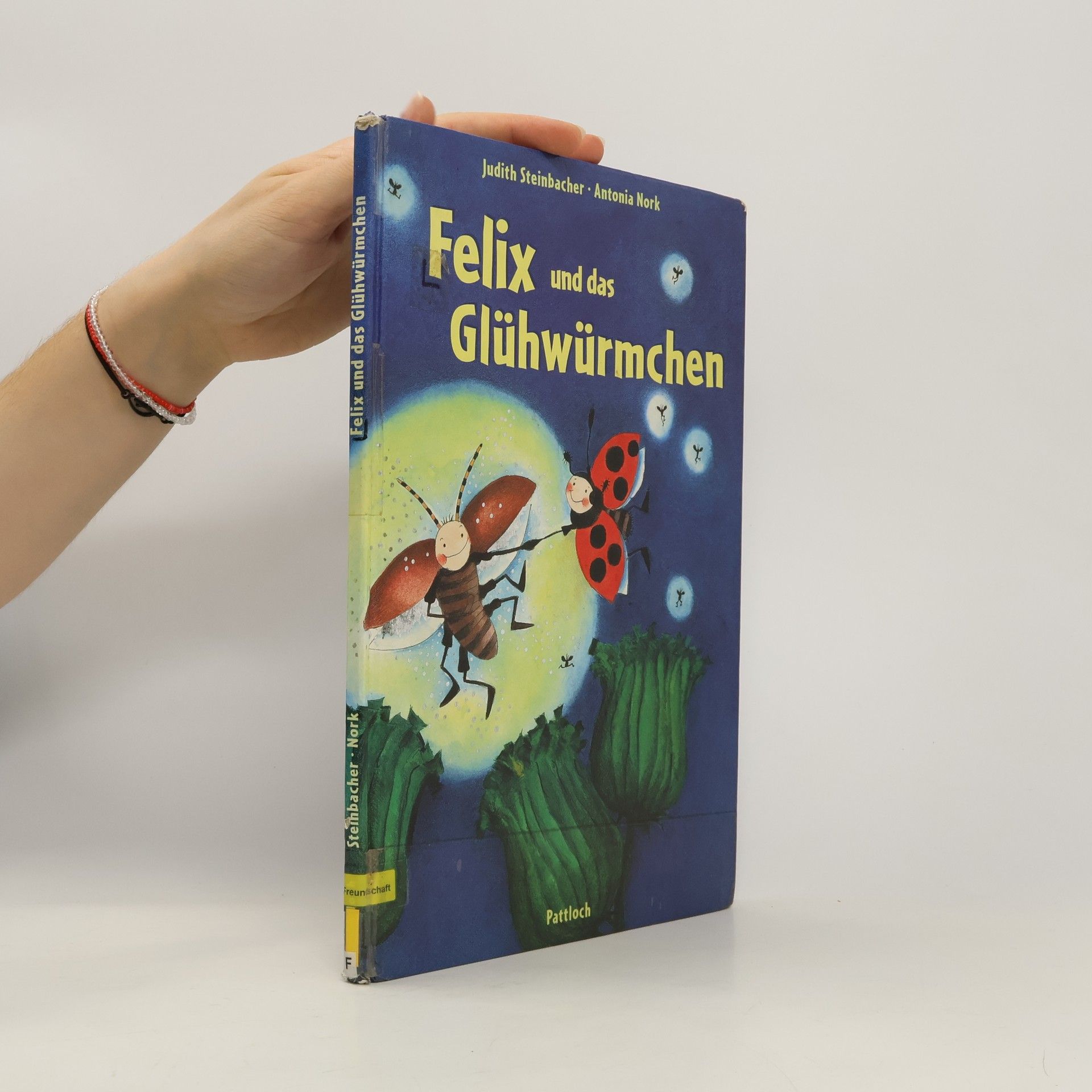 Judith Steinbacher Felix und das Glühwürmchen