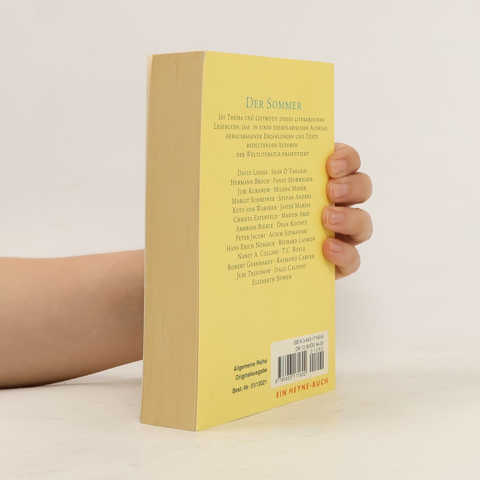 Das Sommerlesebuch