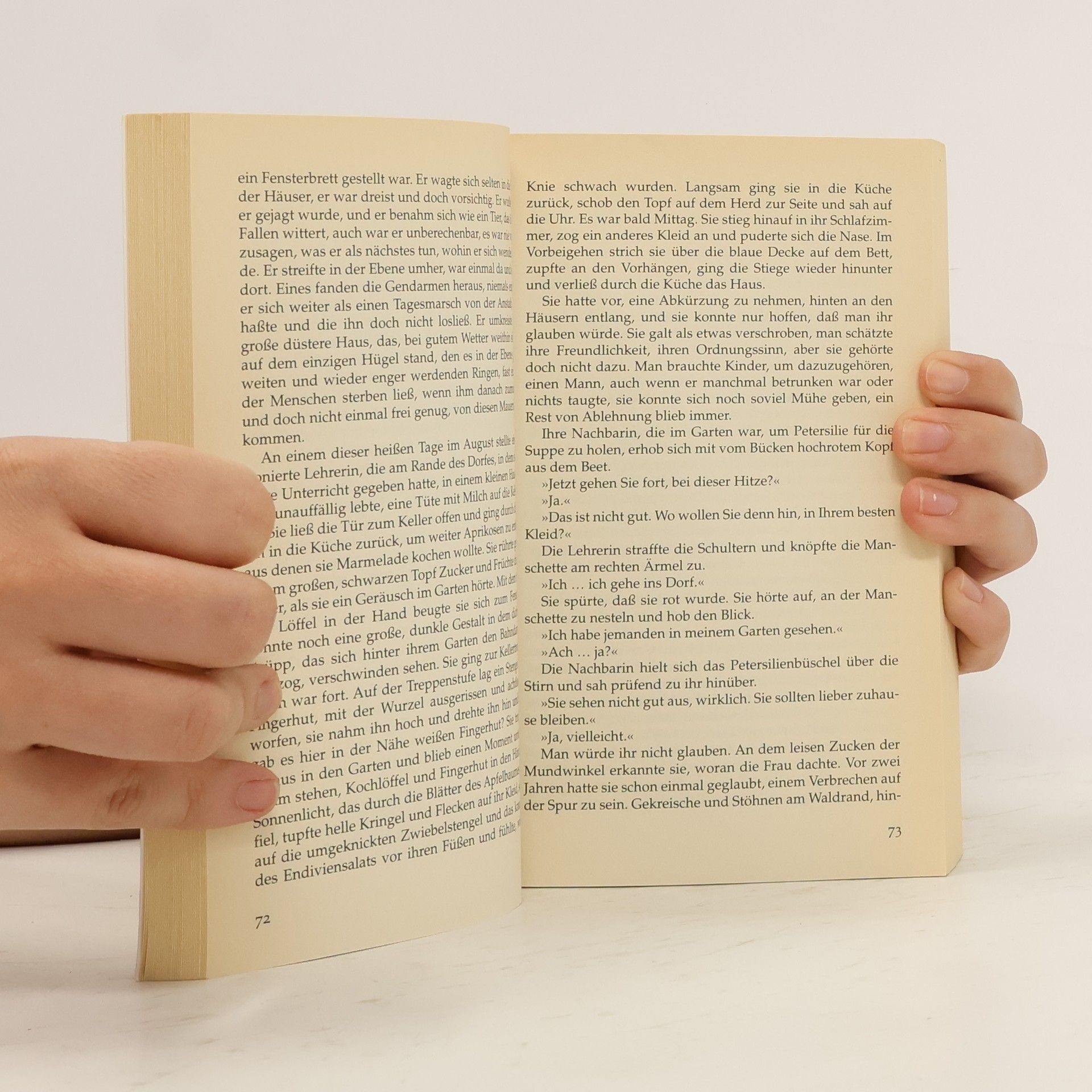 Das Sommerlesebuch