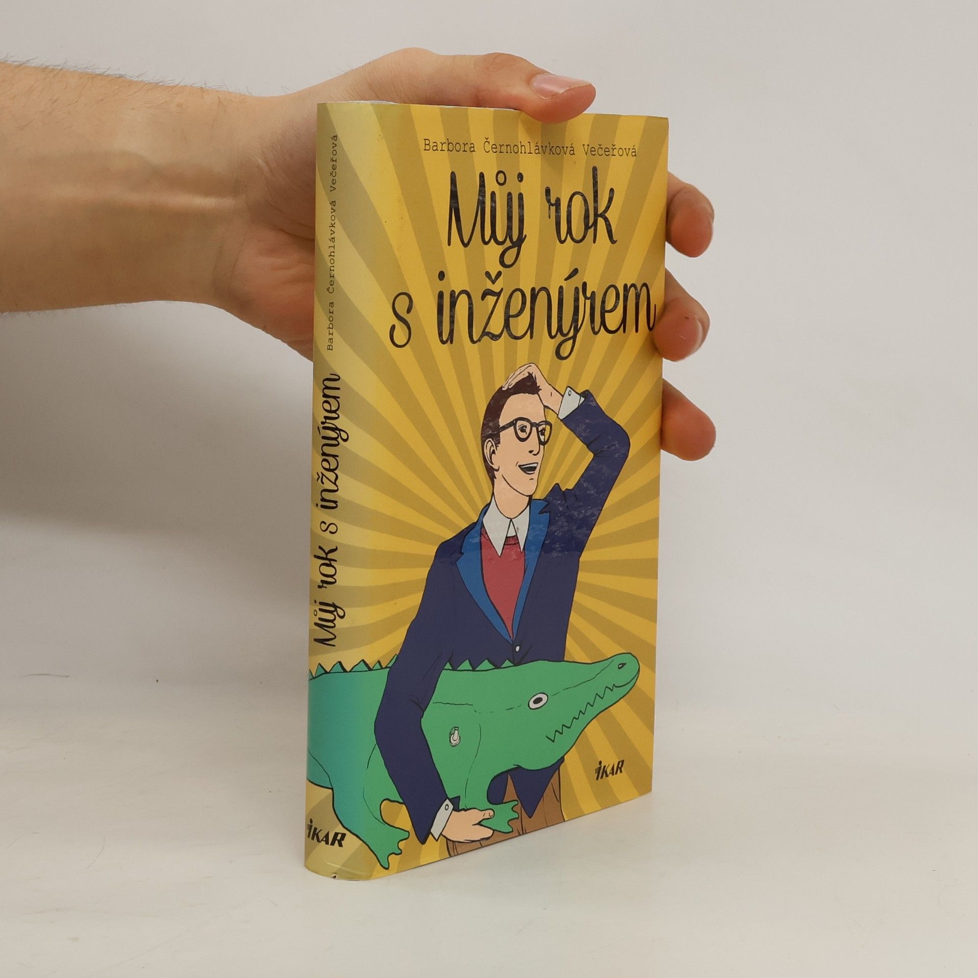 Můj rok s inženýrem