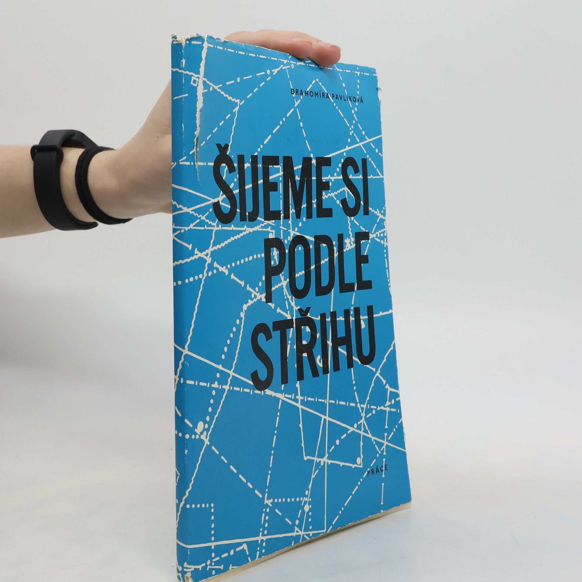 Drahomíra Pavlíková Šijeme si podle střihu