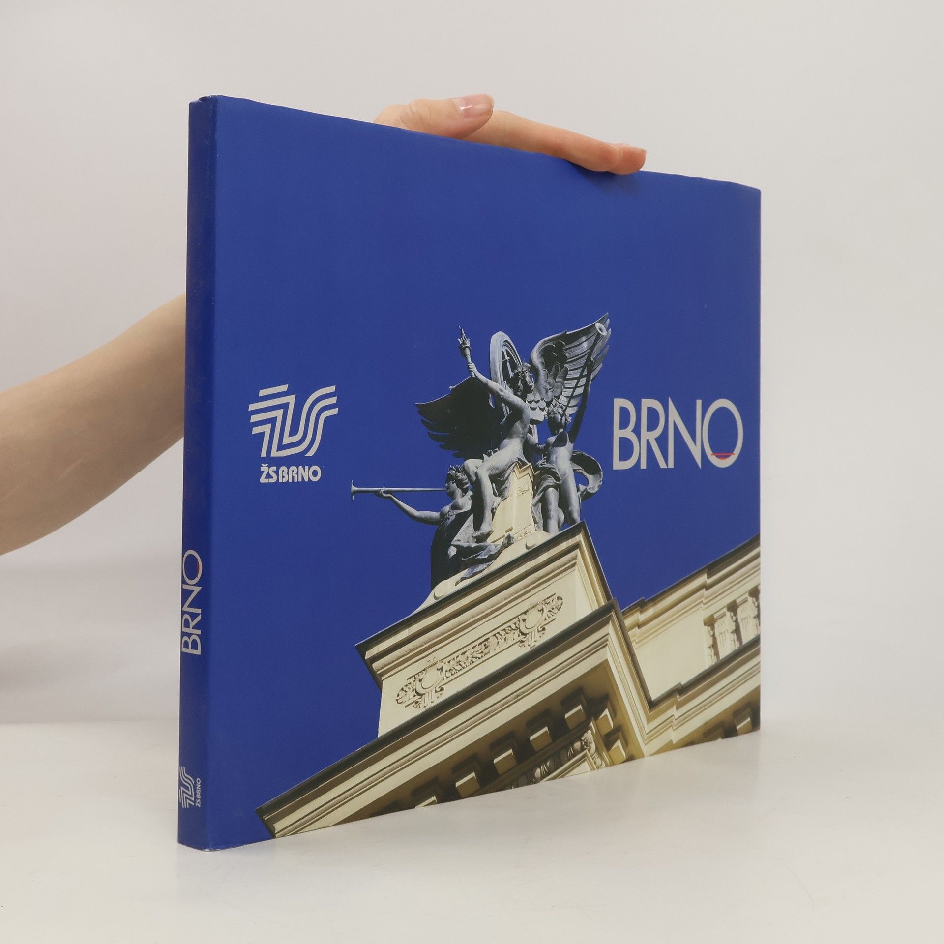 Libor Teplý Brno. Procházka dějinami a architekturou města