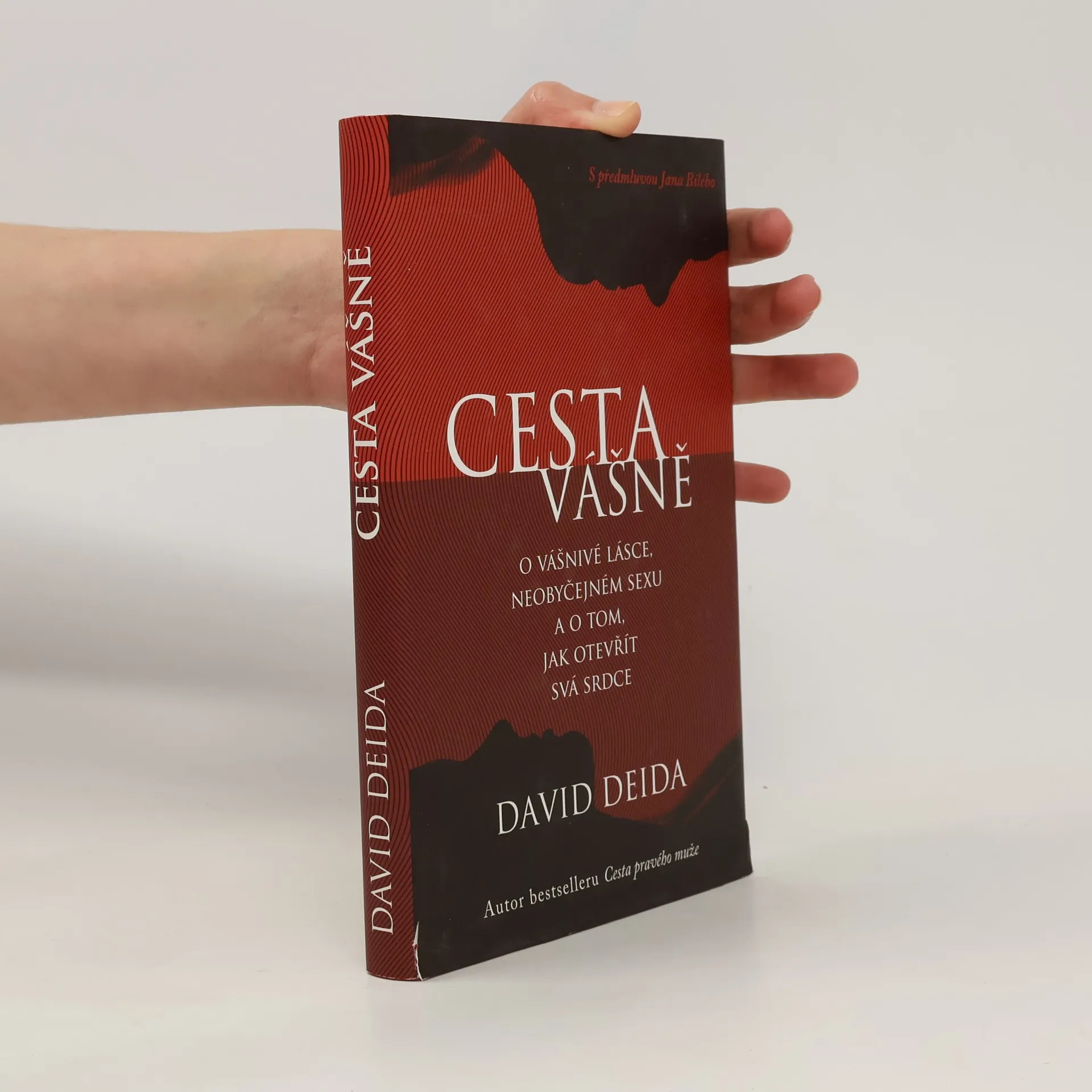 Cesta vášně : o vášnivé lásce, neobyčejném sexu a o tom, jak otevřít svá srdce | Kniha | pevná | David Deida