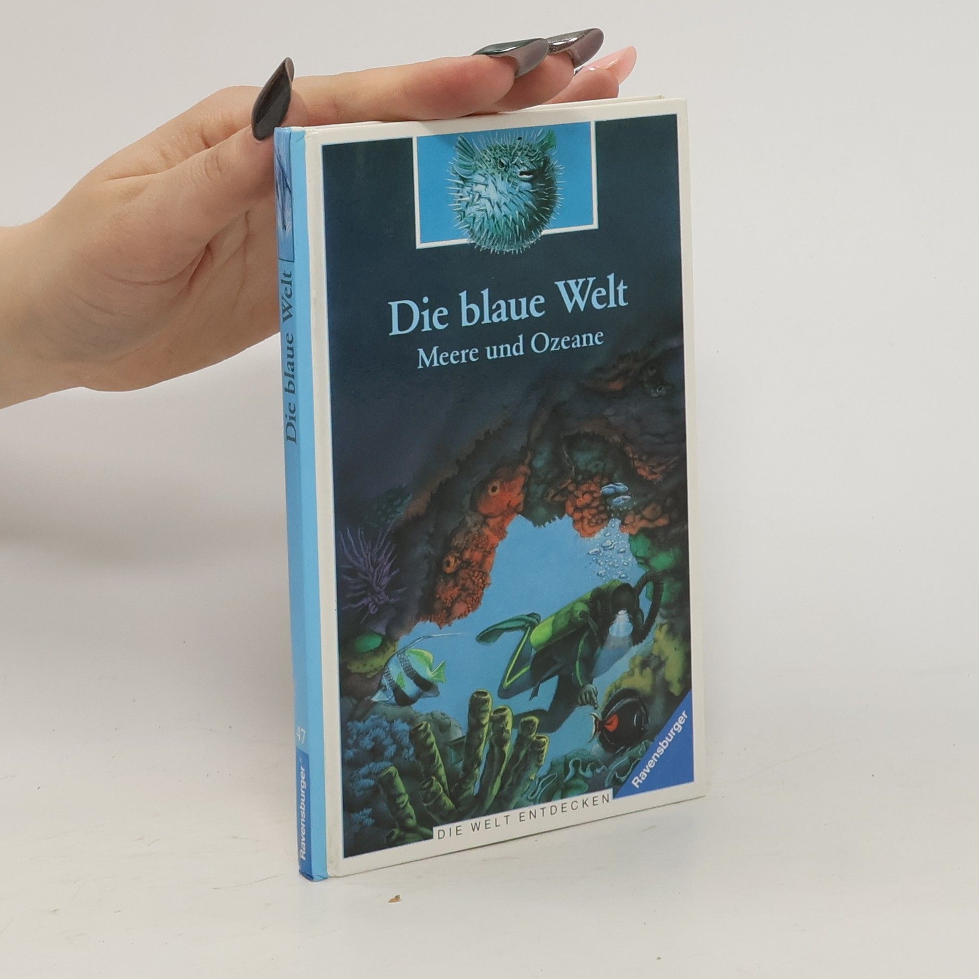 kolektiv Meere und Ozeane. Die blaue Welt