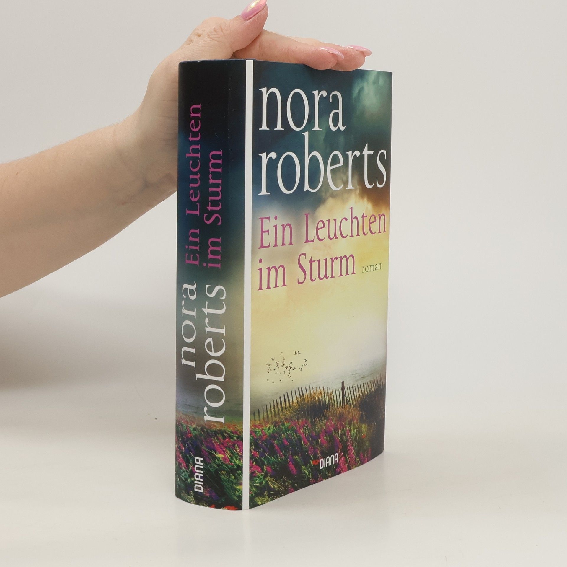 Nora Roberts Ein Leuchten im Sturm