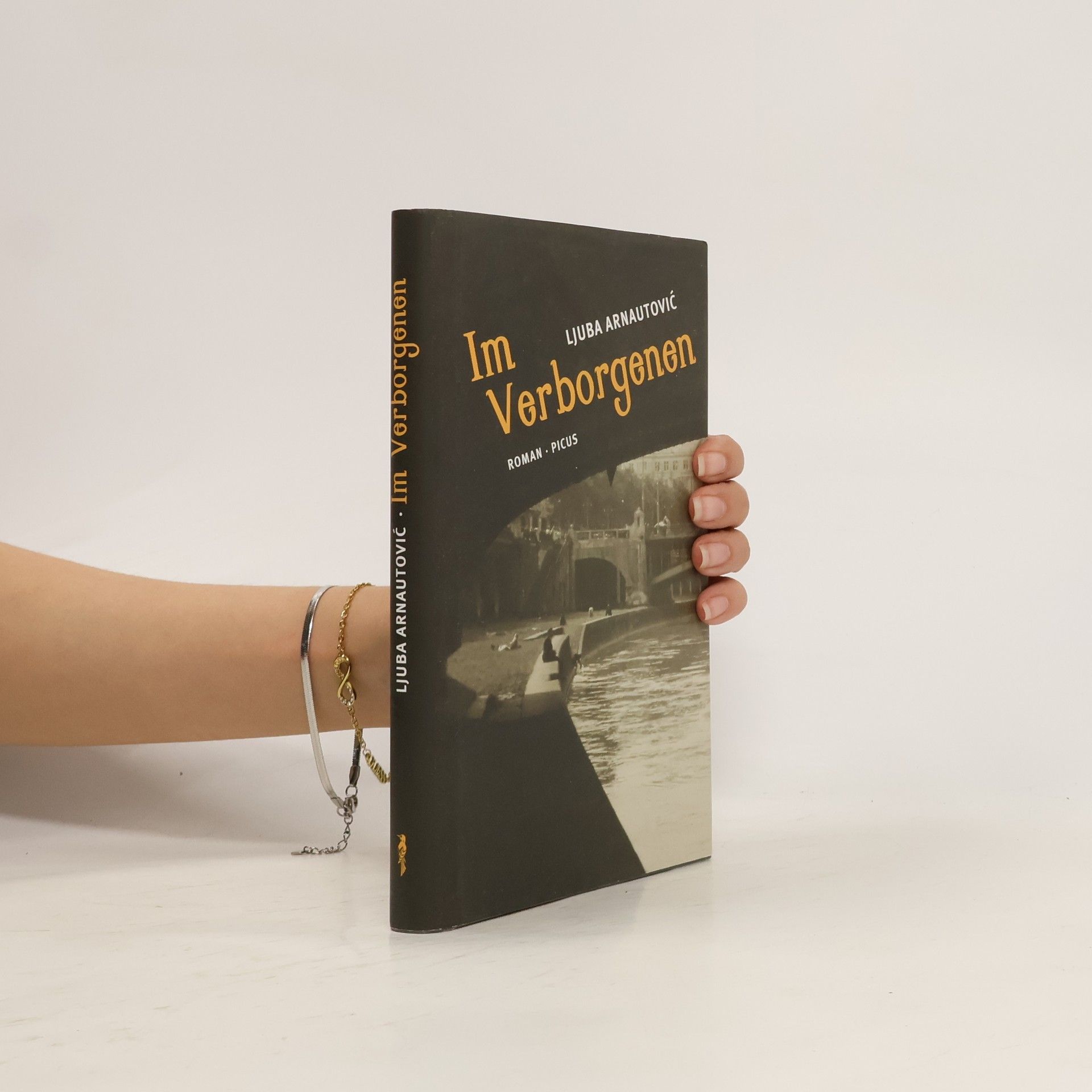 Ljuba Arnautović Im Verborgenen