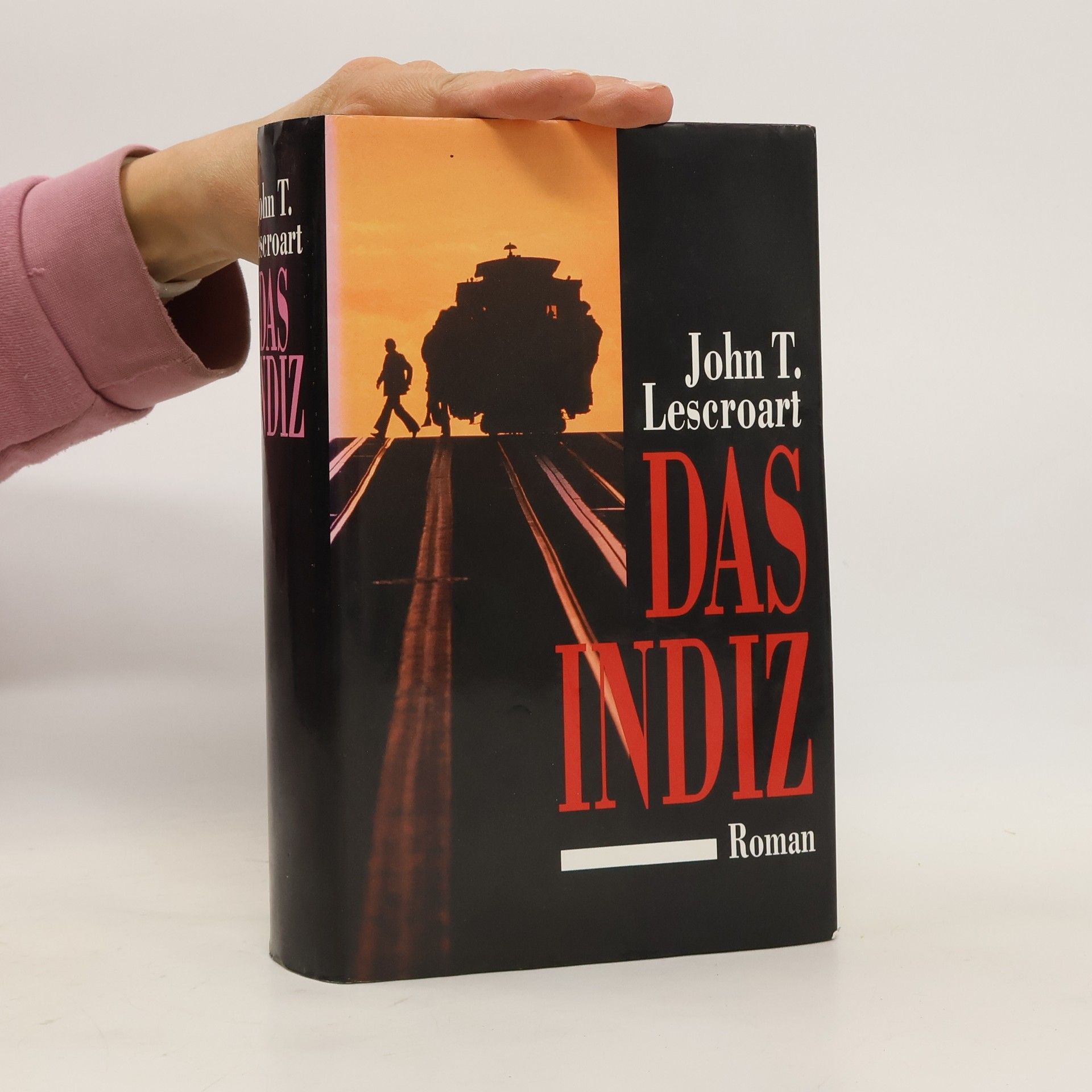 John T. Lescroart Das Indiz