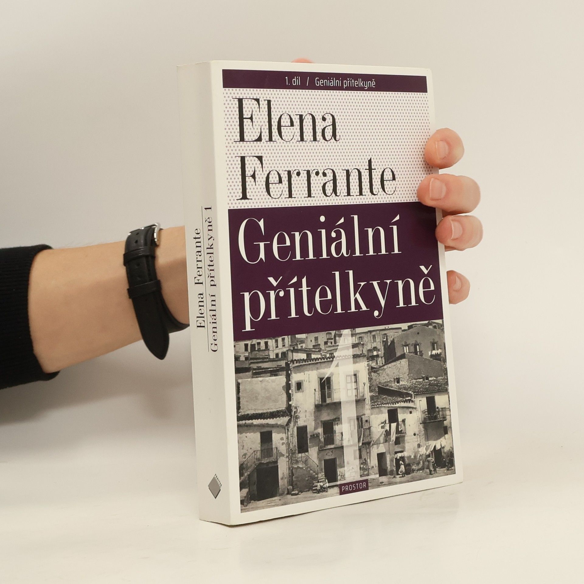 Elena Ferrante Geniální přítelkyně 1. Dětství a dospívání