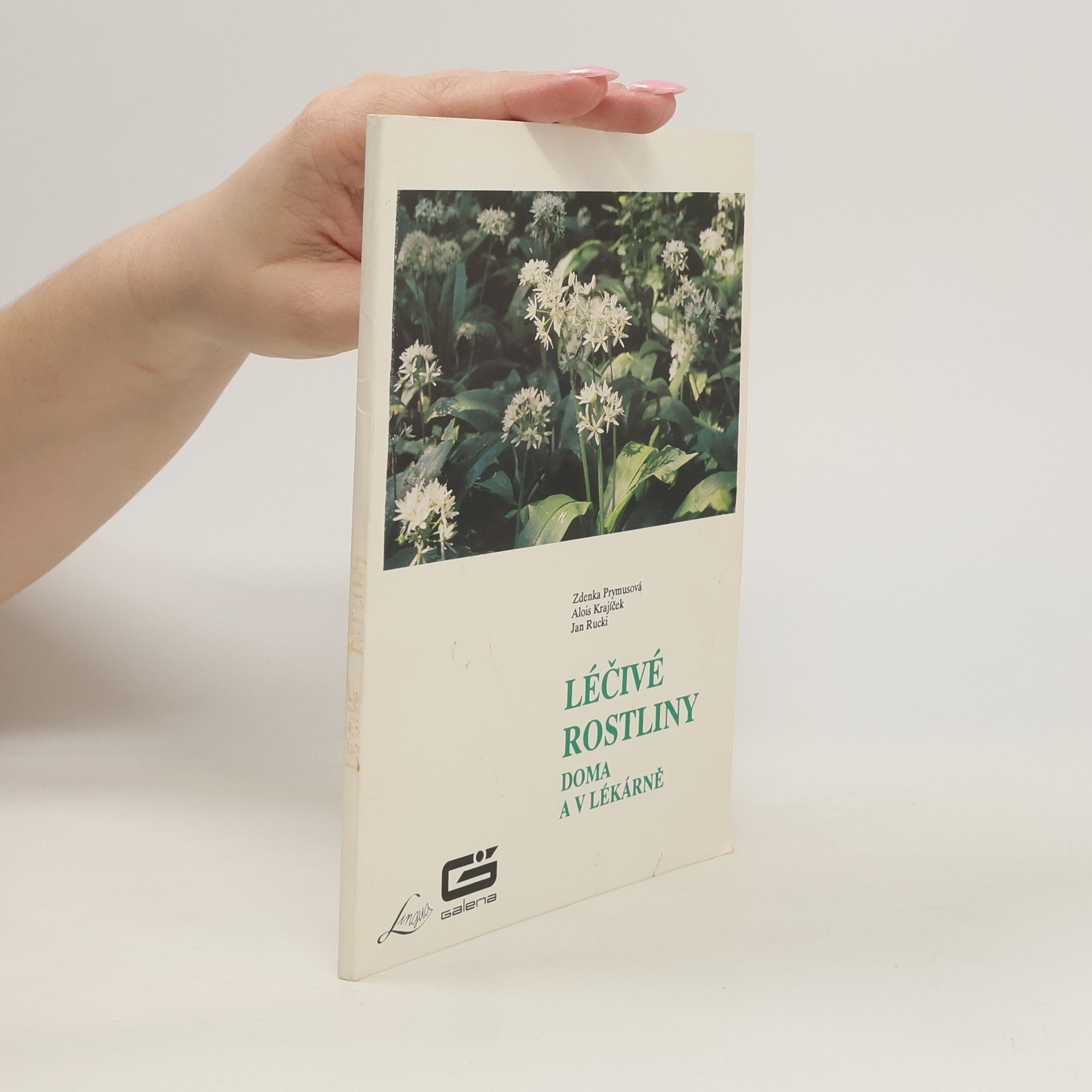 Zdena Prymusová Léčivé rostliny doma v lékárně