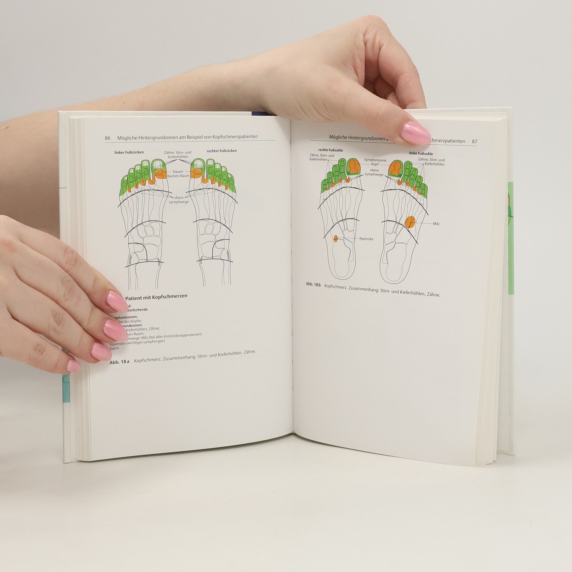 Hanne Marquardt Reflexzonenarbeit am Fuß