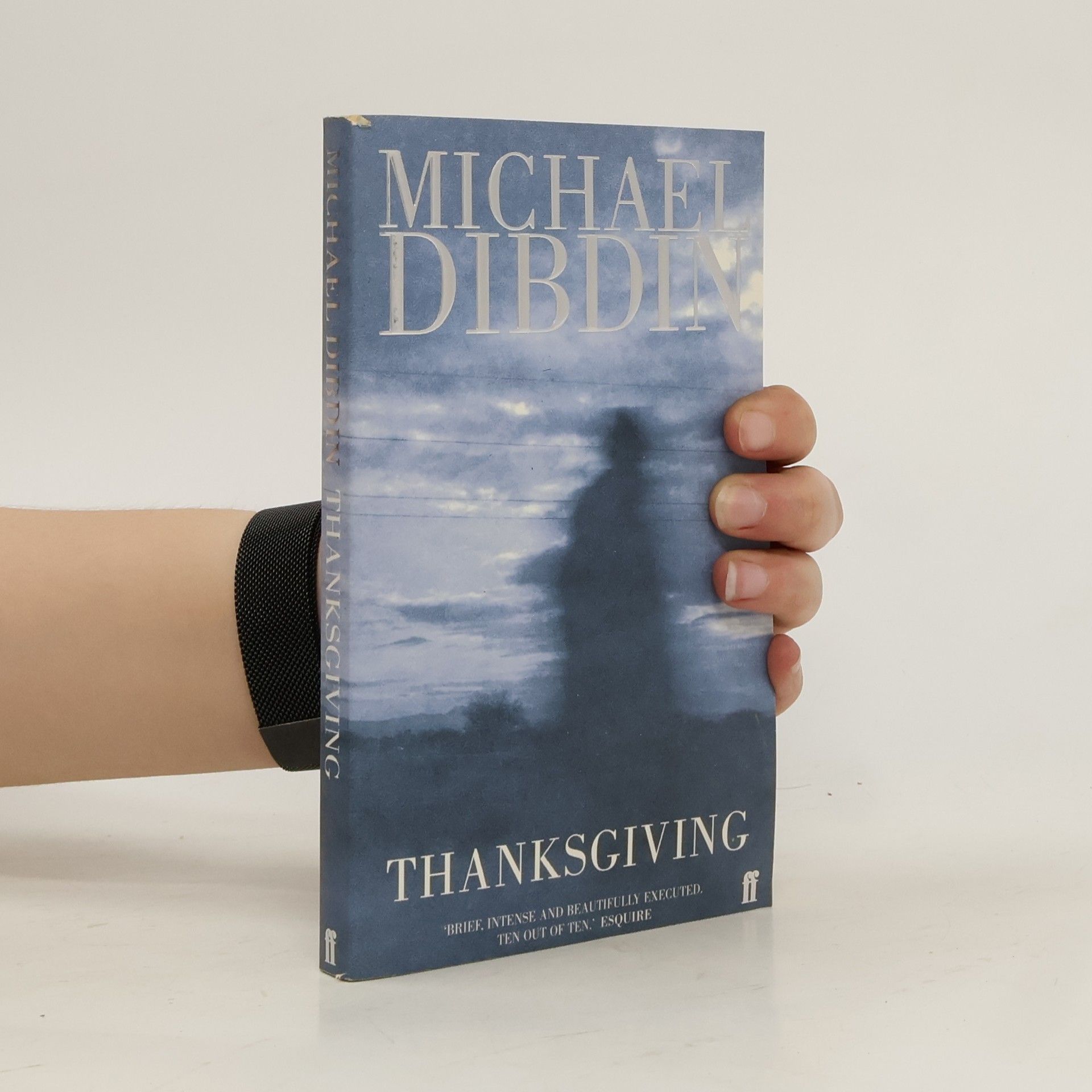 Michael Dibdin Thanksgiving